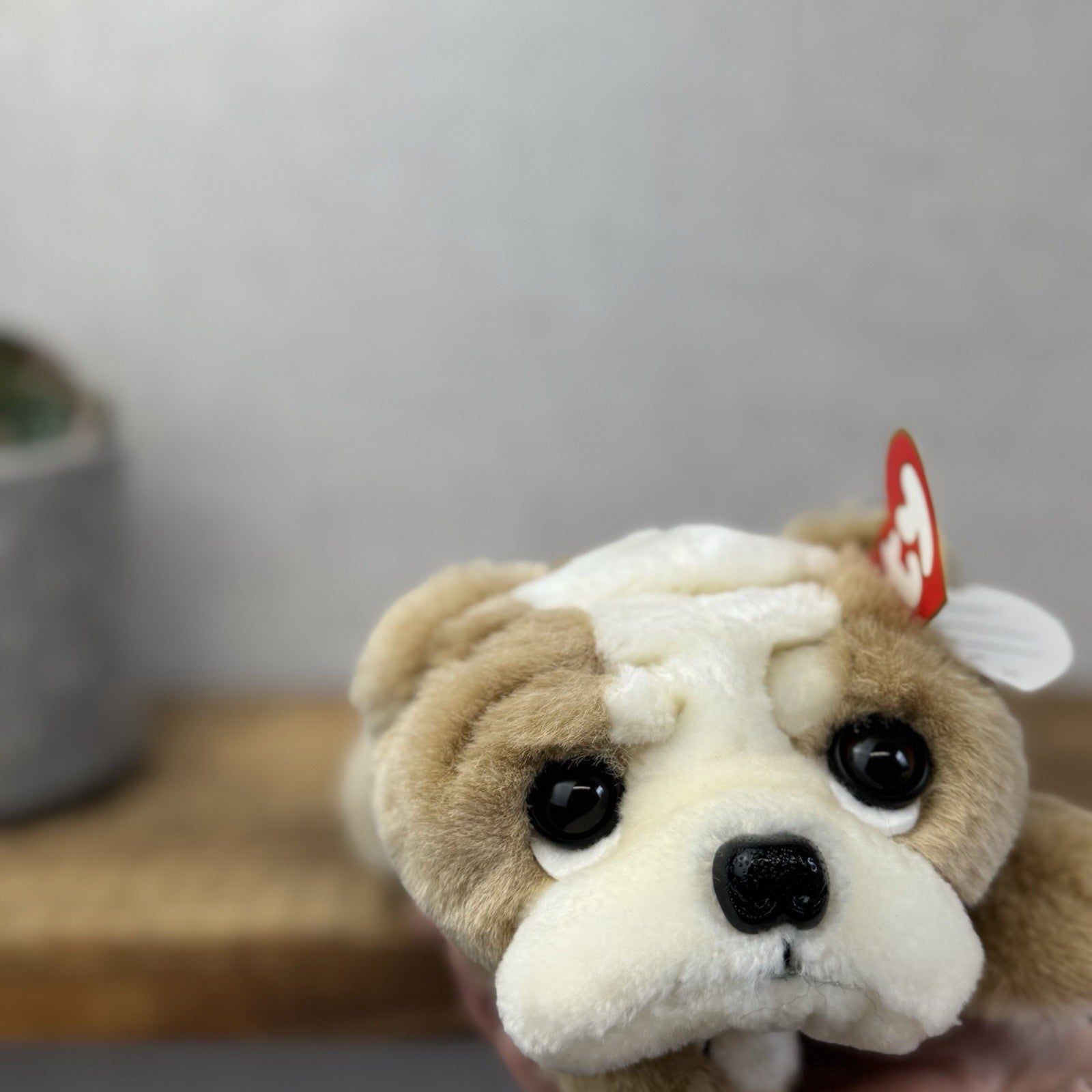 Ty Classic Beanie Buddies Churchill Bulldog Puppy Dog - Wrinkly Dog Pristine New