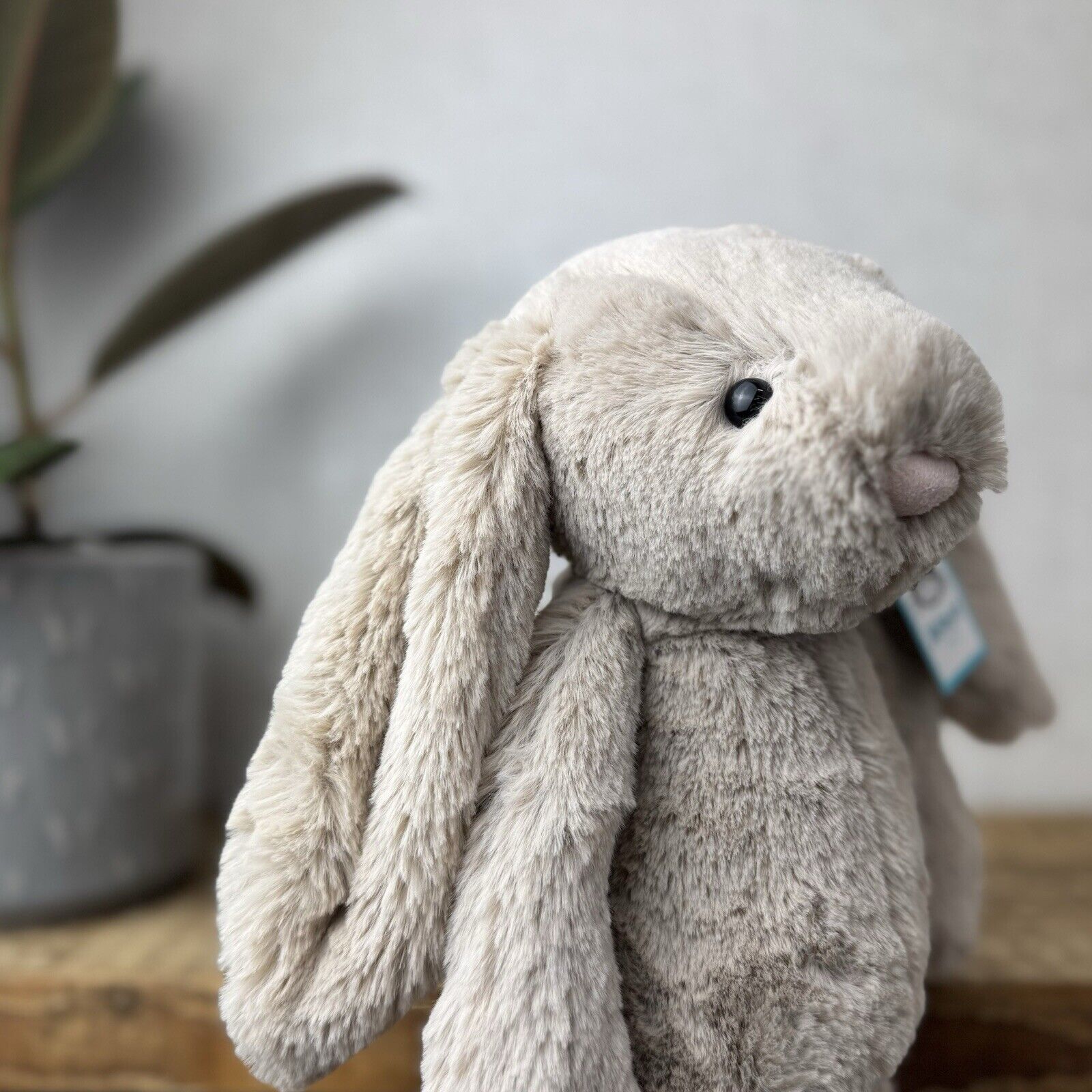 Jellycat Medium Bashful Beige Bunny - Light Brown Bunny Soft Toy Beanie 12” (1)