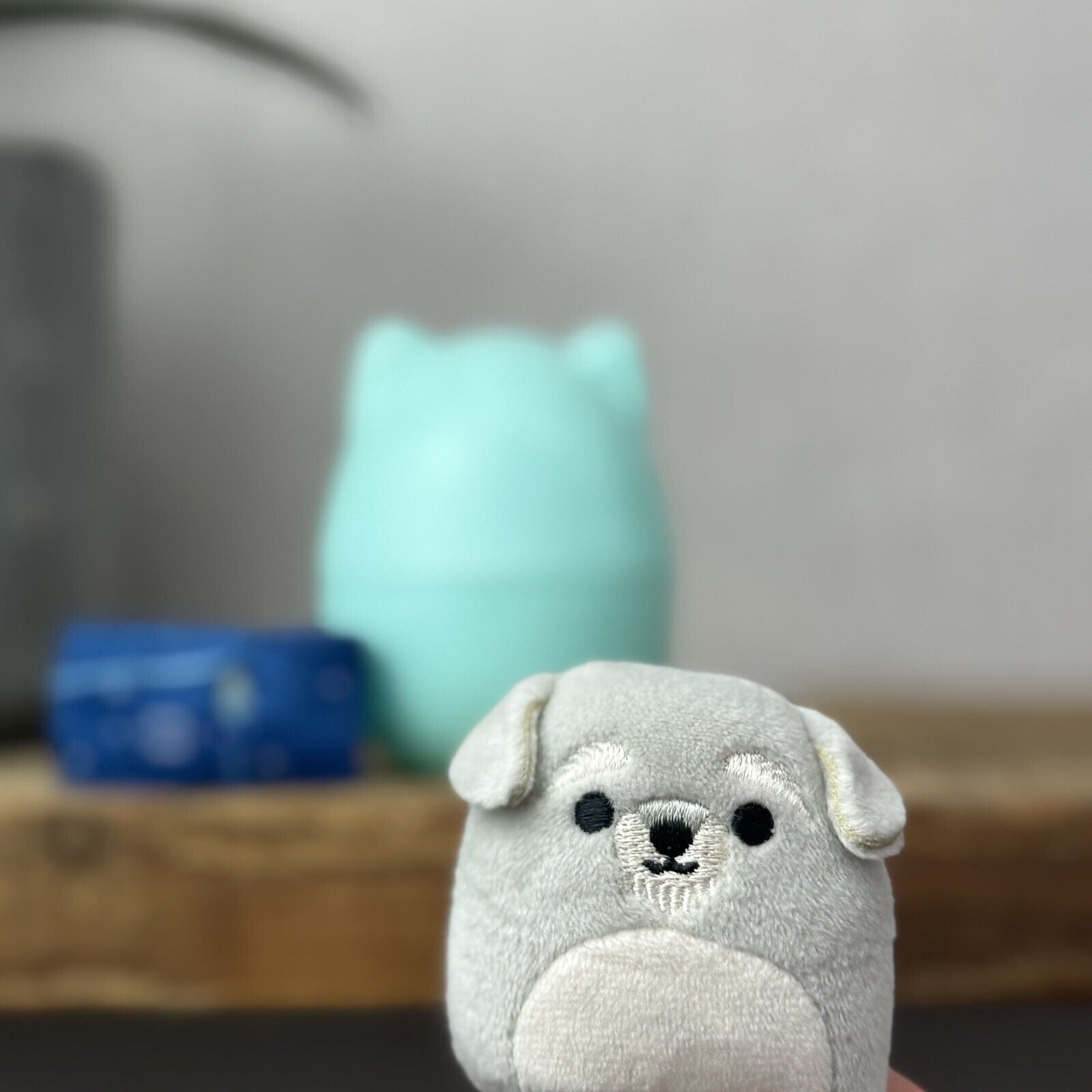 Squishmallow Squishville - Shaun The Snauzher - With Capsule & Accessory 2” Tiny