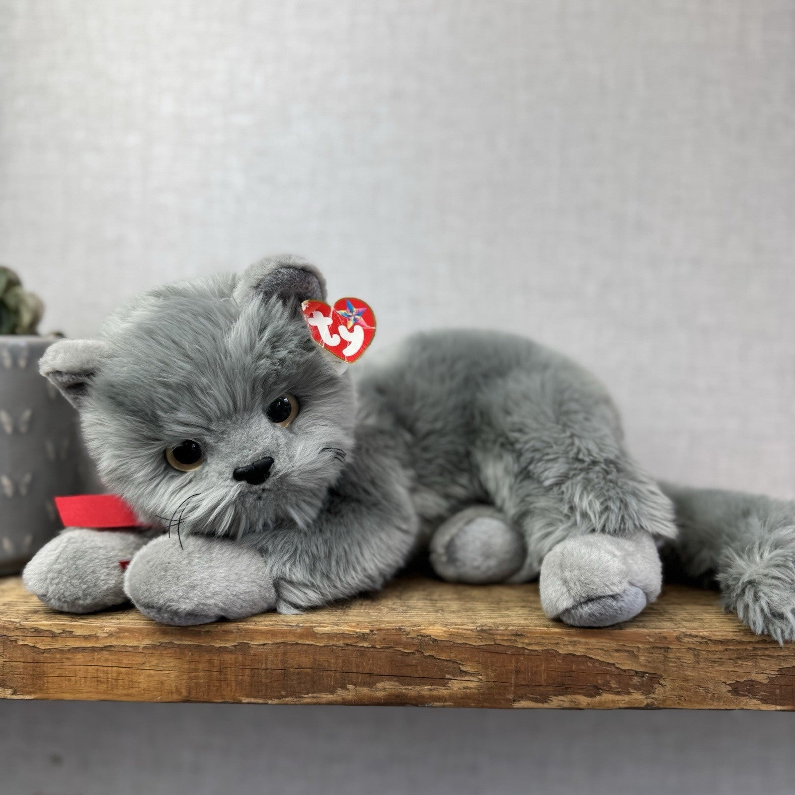 TY Beanie Buddy - BEANI Grey Fluffy Cat (Paper Tag Damaged) Amazing Rare 11"