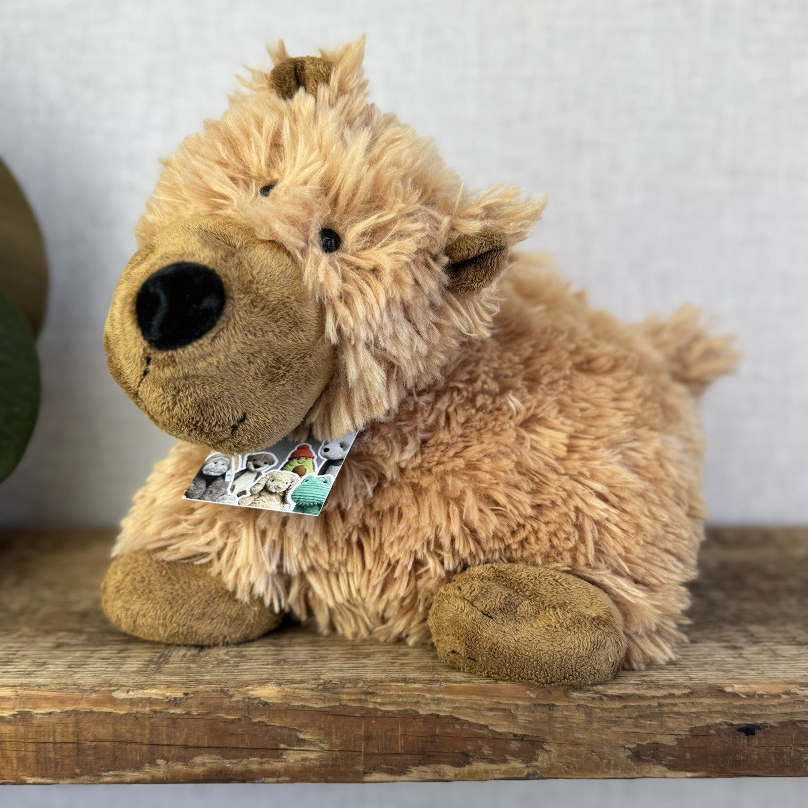 Jellycat Medium Grizzly Bear Rare Truffles Cushion Floppy Beanie Bear Brown 14”