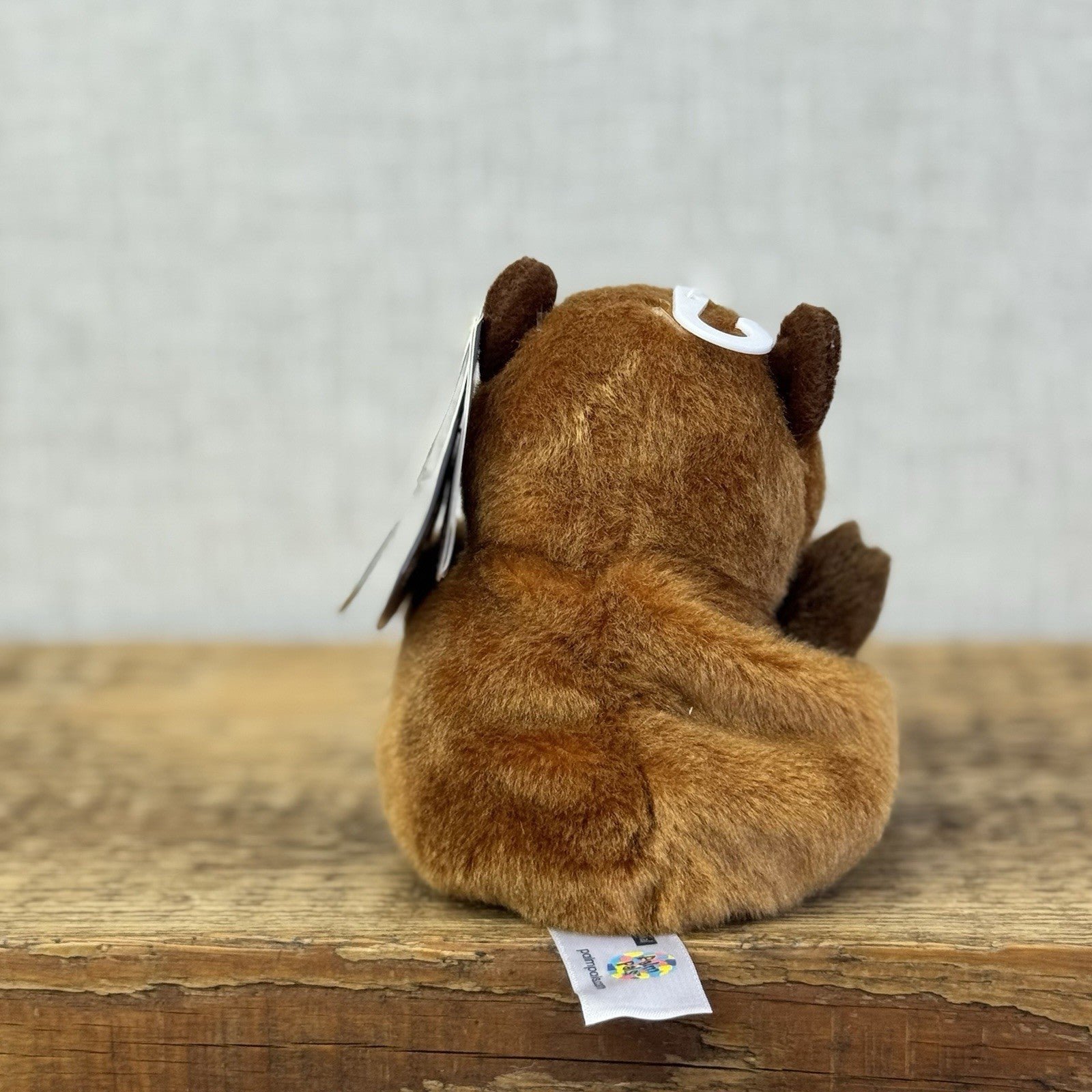 Aurora - Sid Capybara - Palm Pals Mini Beanbag Plush Mini Capybara Plush Toy 5”