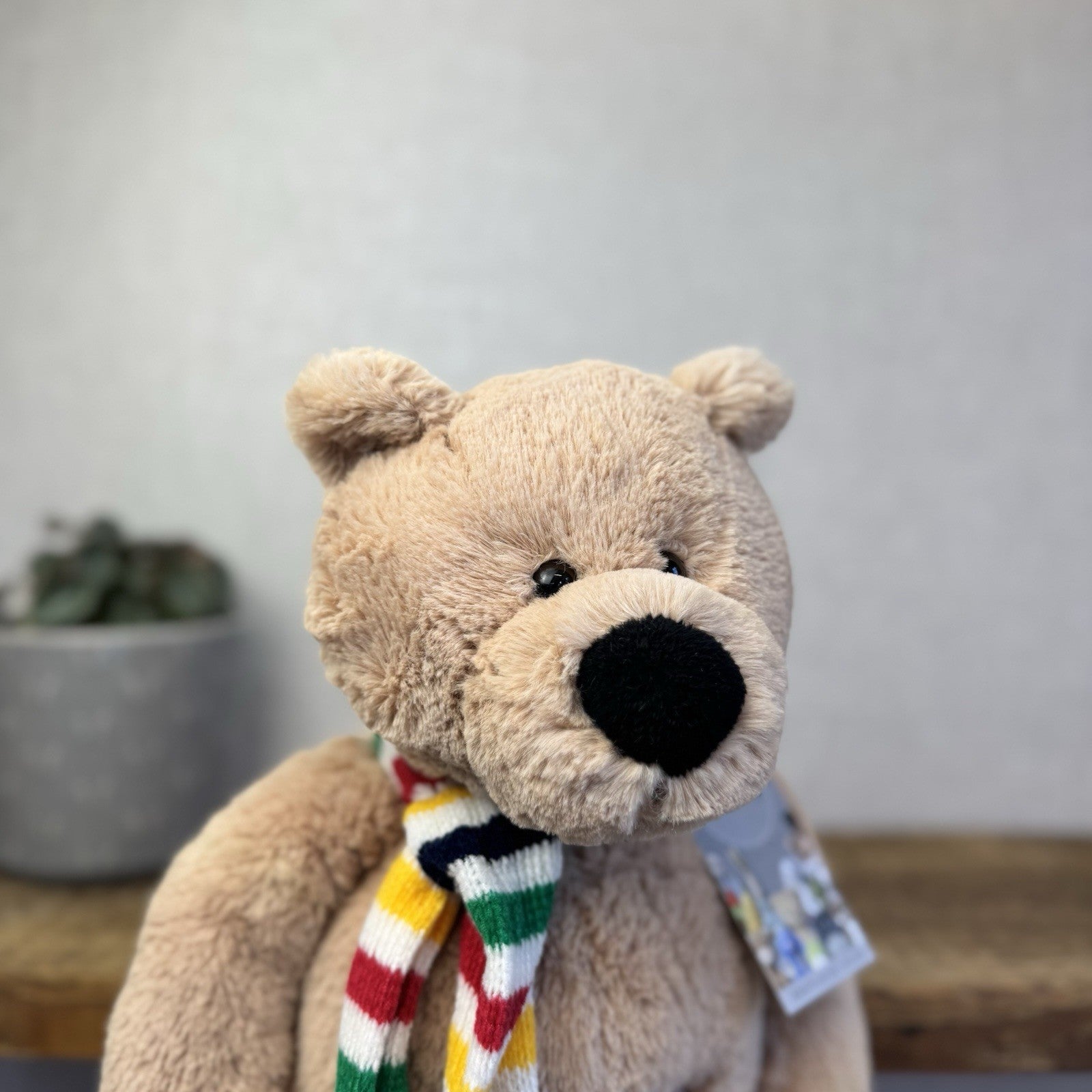 Hudsons Bay Company Pelly Bear 2007 (Animal Adventure) Striped Scarf Beanie Bear