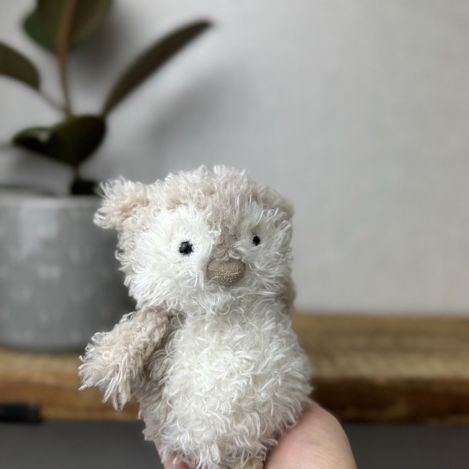 Jellycat Really Little Owl - Tiny Owl Jellycat Soft Toy Beanie Tiny Plush 6"