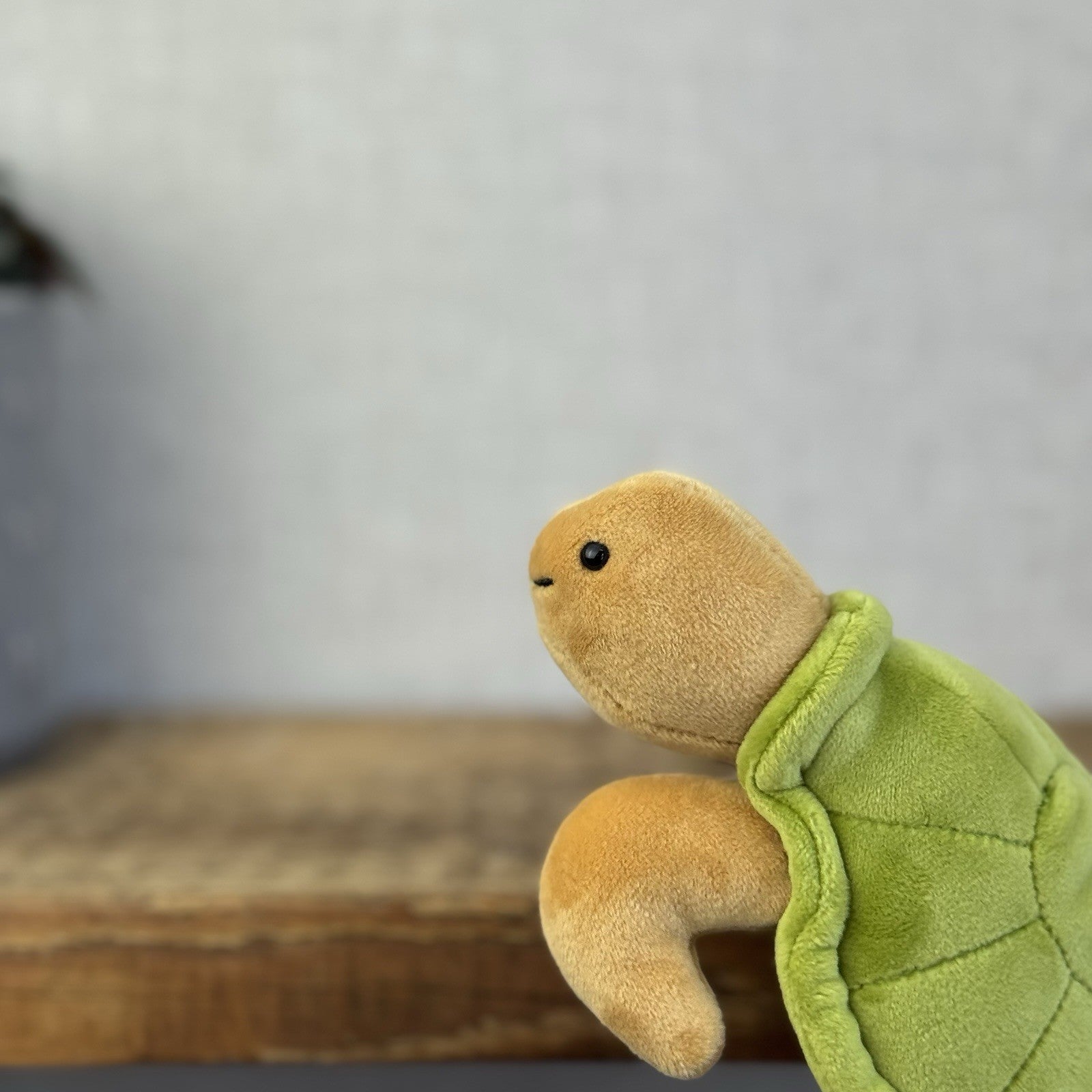 Jellycat Small CeeCee Turtle - Small Green Velour Turtle Beanie retired 6” (#2)