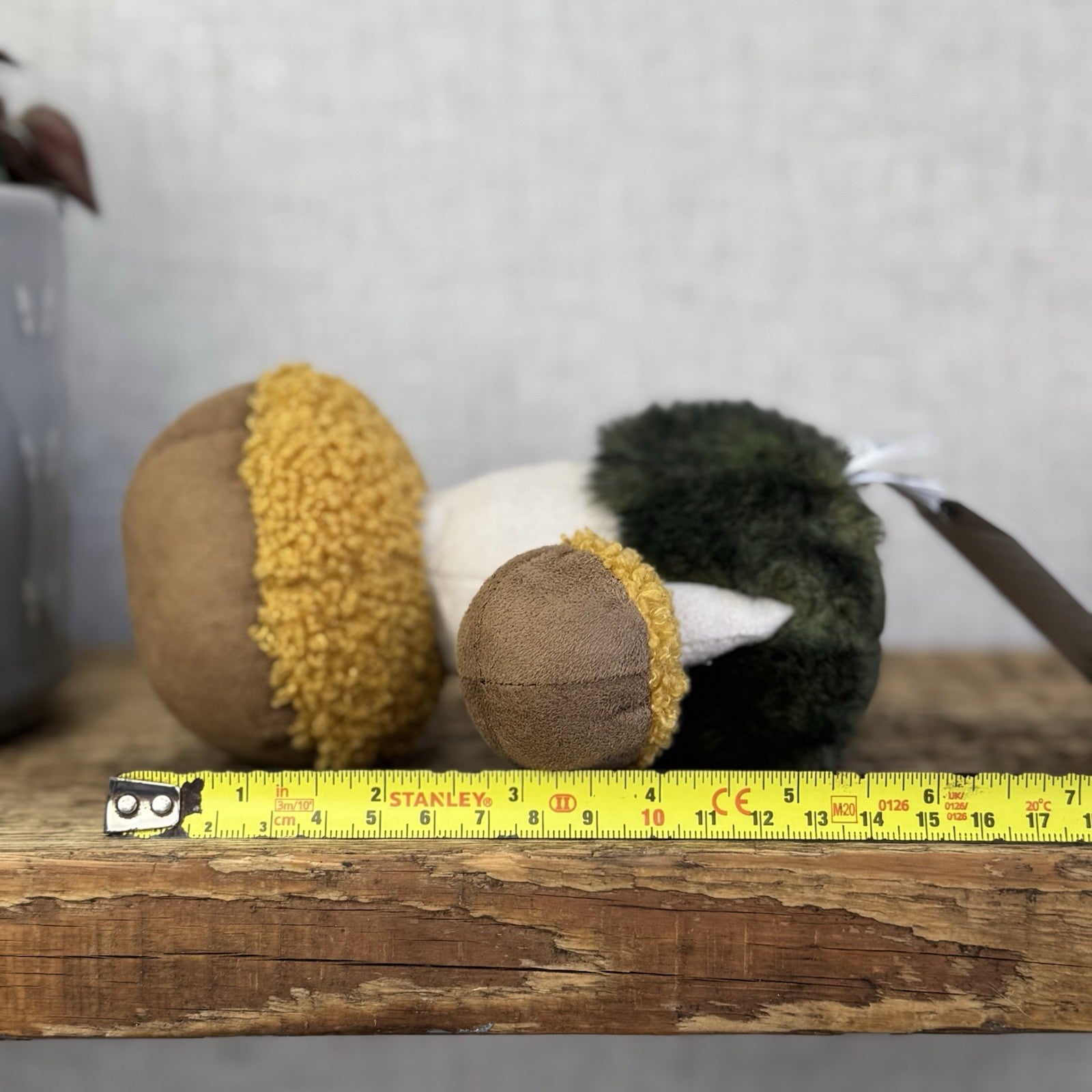 Jellycat Wild Nature Boletus Mushroom - Retired Mushroom Beanie Plush Display 8"