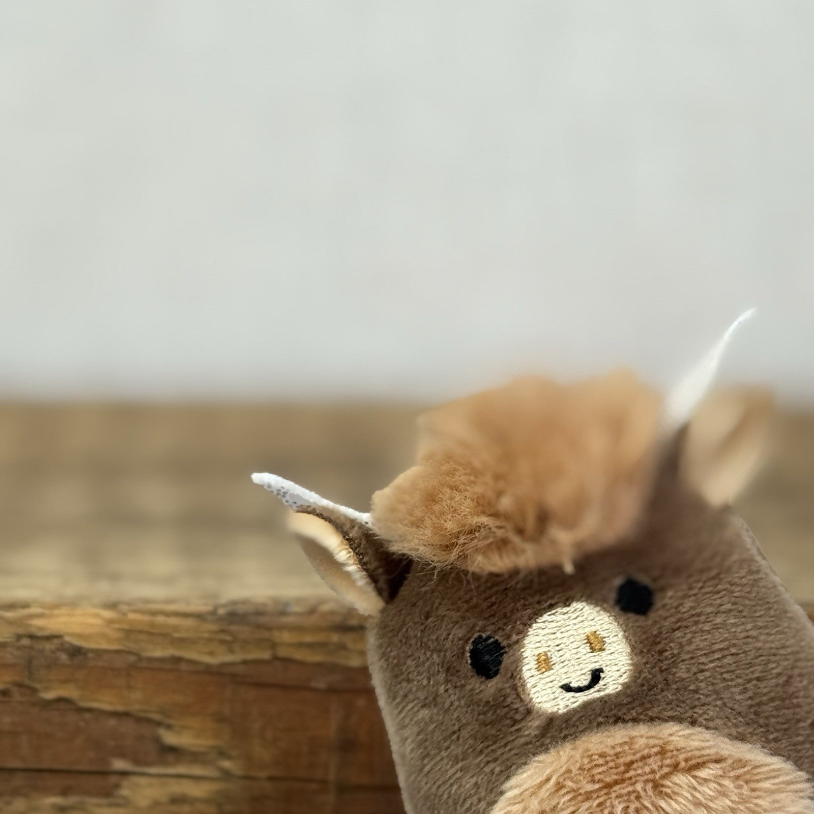 Squishmallow Squishville -Calton Highland Cow Horned Cow 2" (Multi Buy Discount)