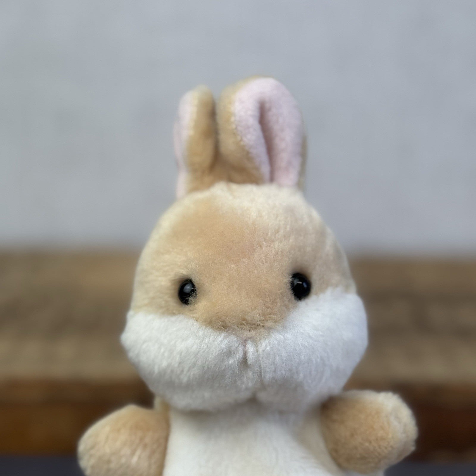 Aurora - Palm Pals Mini Beanbag Plush Ella Bunny BNWOT 5"