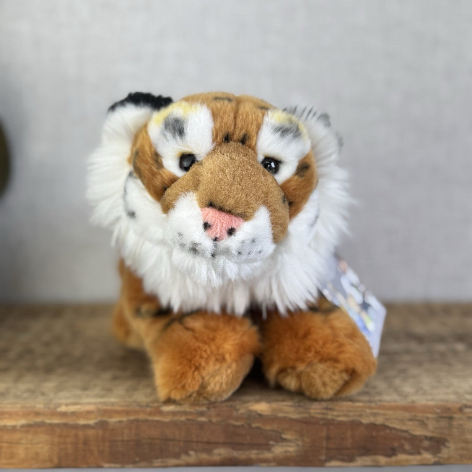 Keel Toys Tiger Plush - Small Tiger Soft Toy Realistic Wild Cat 8"