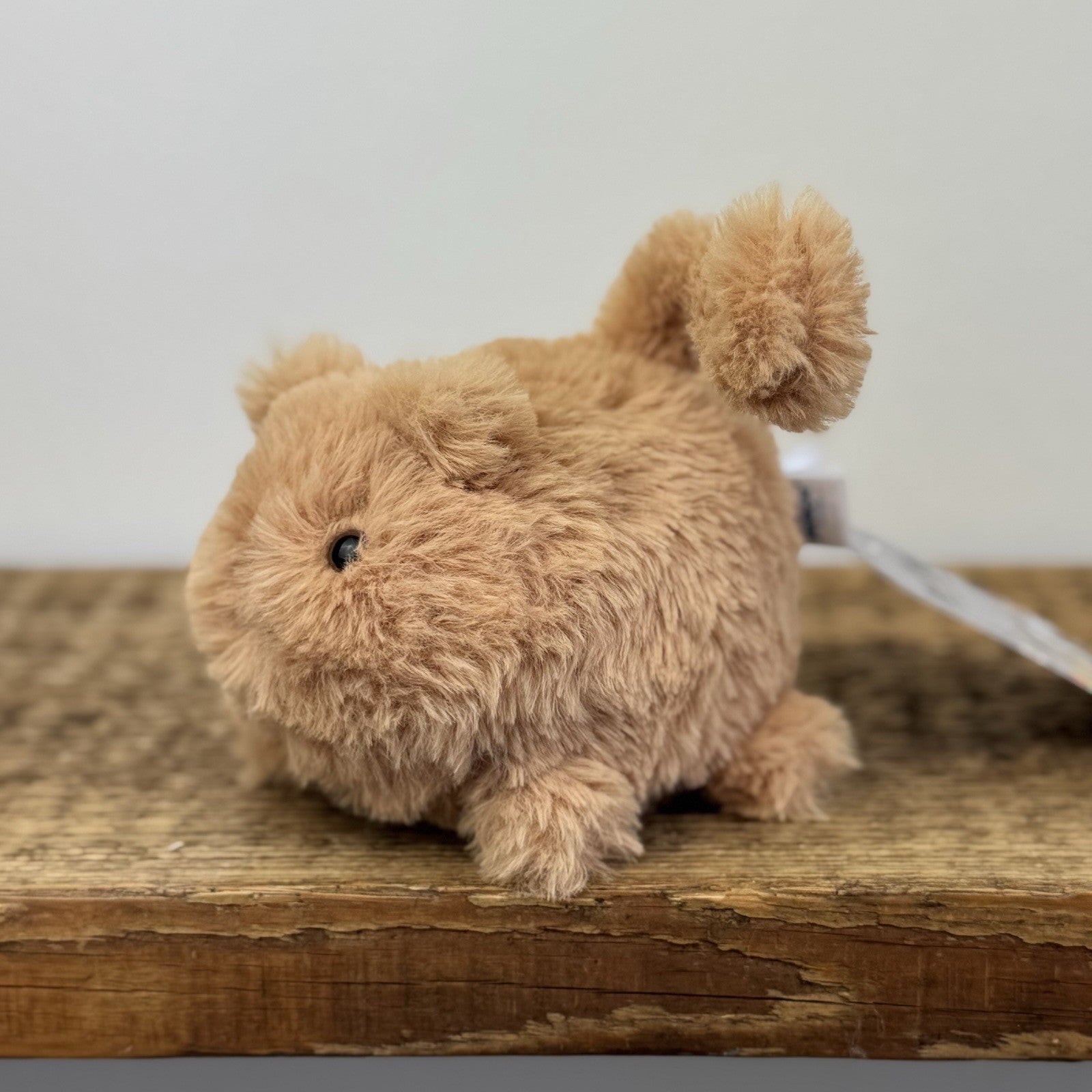 Jellycat Caboodle Kitten Ginger Orange - Mini Cat Soft Toy Retired 5”