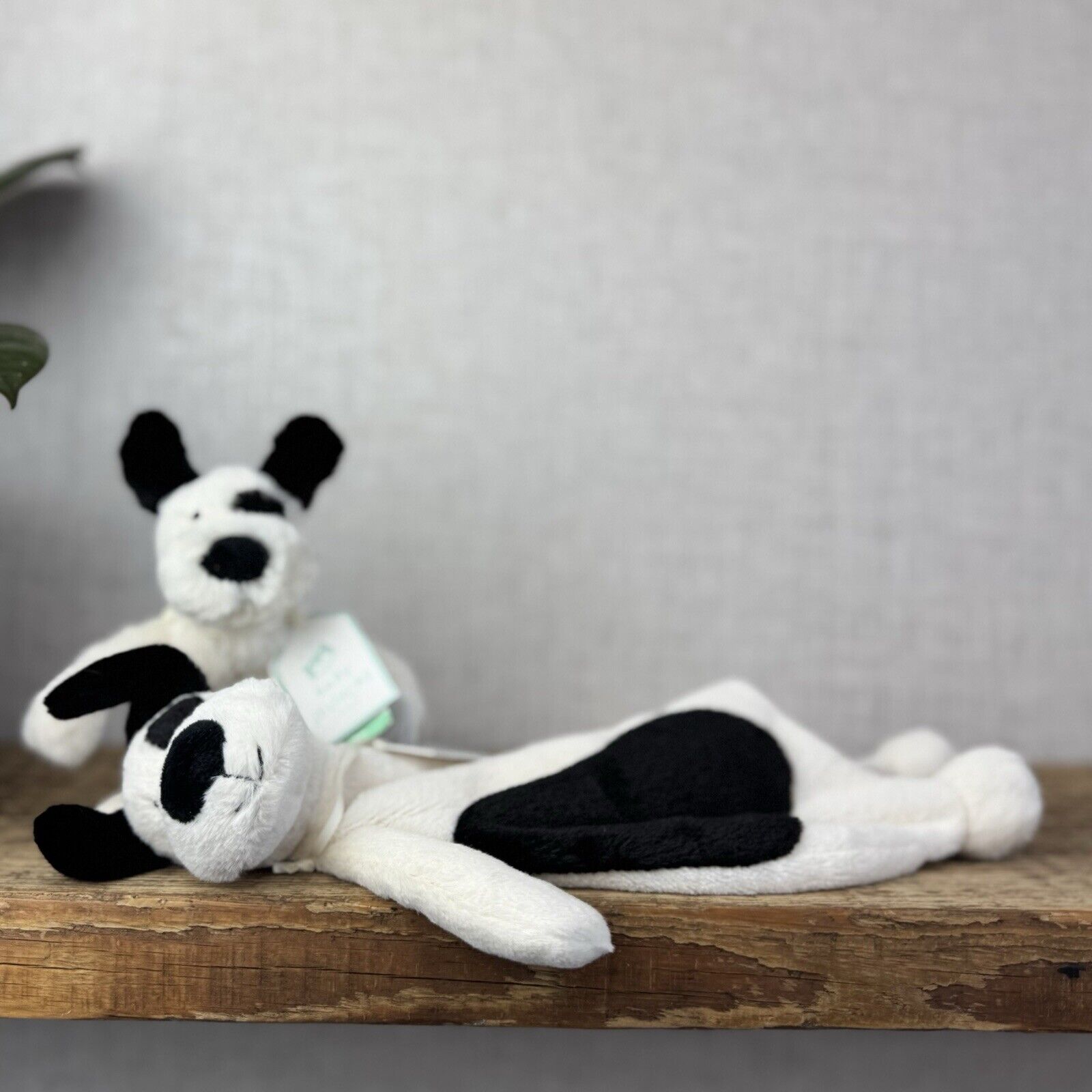 Jellycat Bashful Black & Cream Puppy Comforter & Ring Rattle Gift Set - New Baby