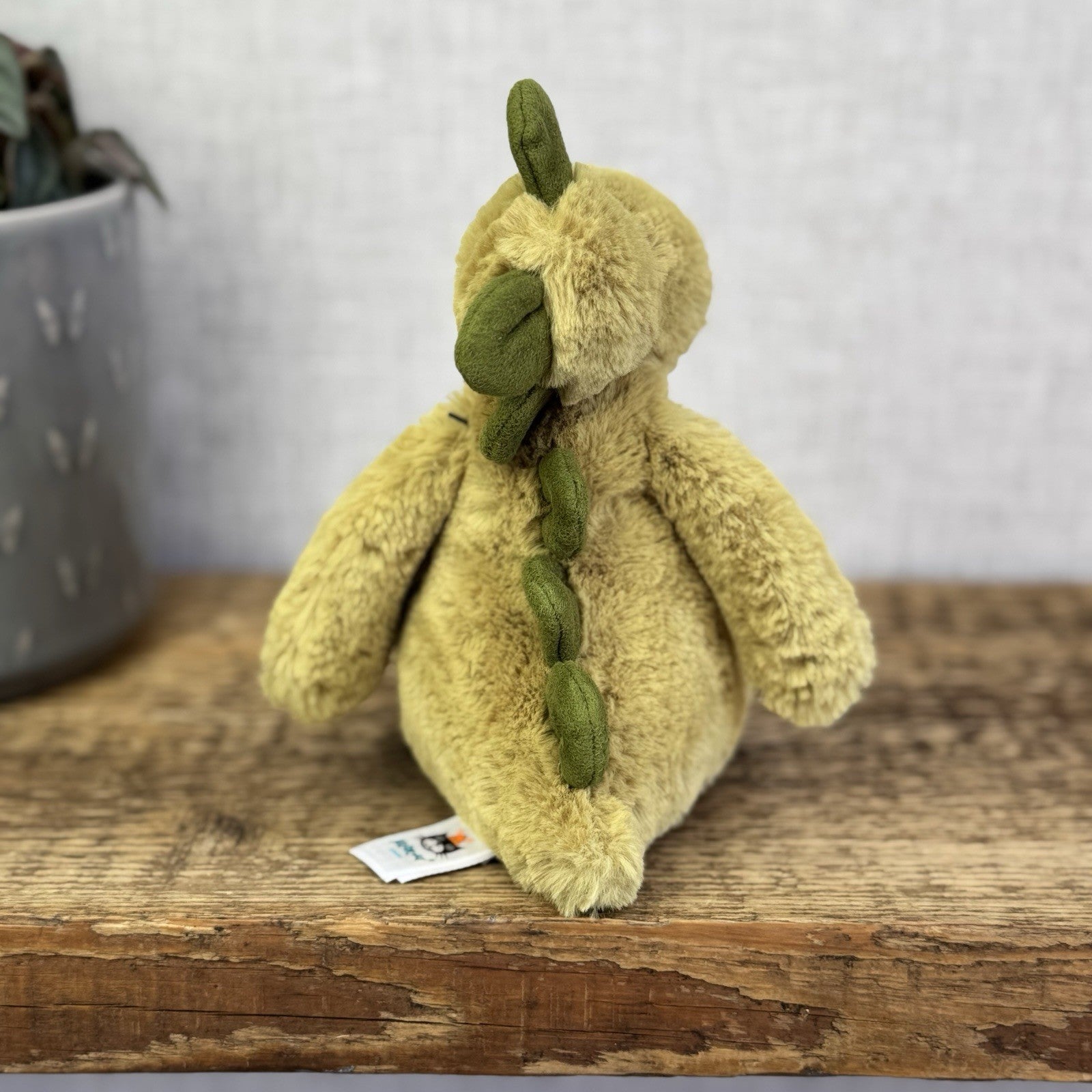 Jellycat Small Bashful Dinosaur - Light Olive Green Dinosaur Beanie Plush 8"