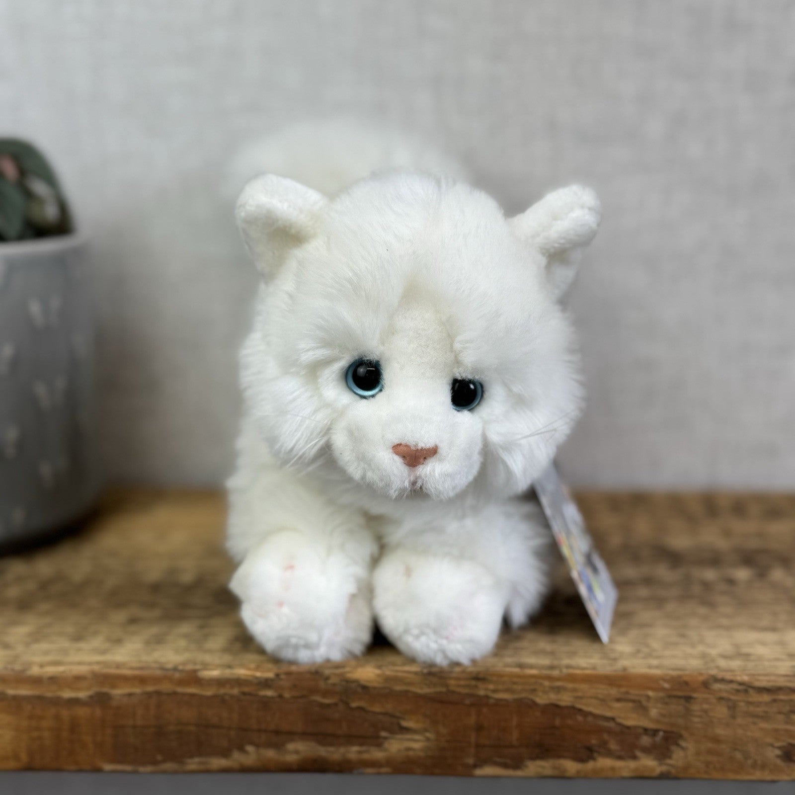 Animal Alley Realistic White Fluffy Cat - Fluffy Beanie Mini Cat Soft Toy 8"