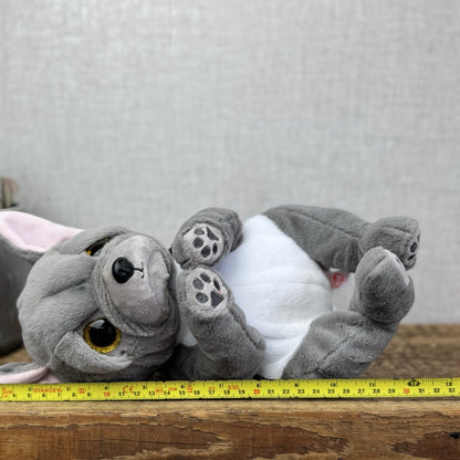 TY Beanie Bellies - Wilfred the Dog 15cm - Large Beanie French Bulldog Soft Toy