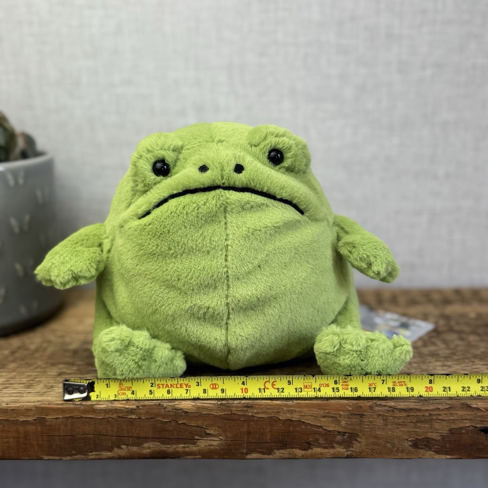 Jellycat Ricky Rain Frog - Green Soft Toy Frog Beanie Plush Medium 7"