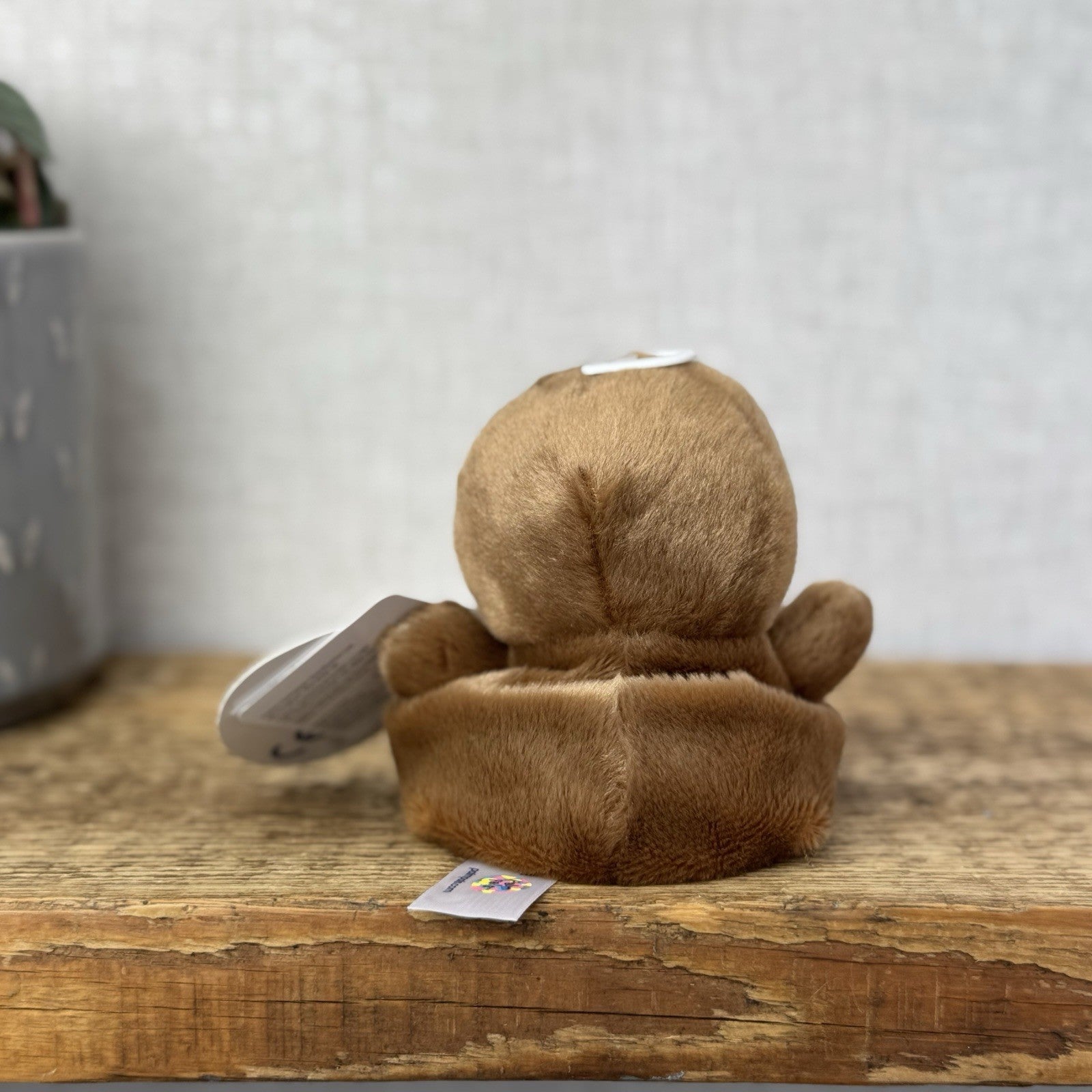 Aurora - Slomo Sloth - Palm Pals Mini Beanbag Plush Mini Sloth Wild Animal New