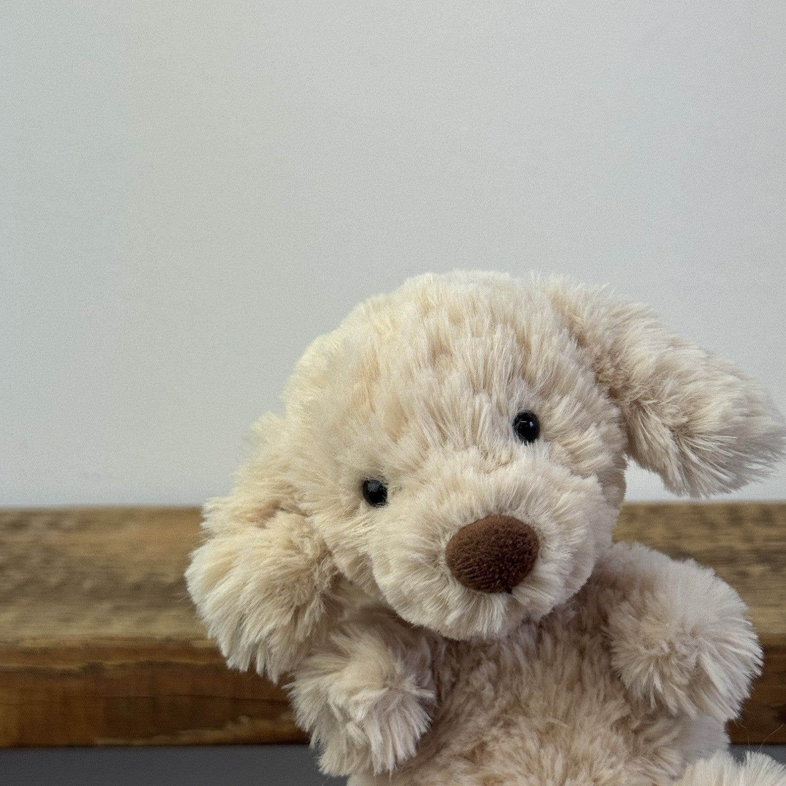 Jellycat Yummy Puppy - First Release - Golden Tiny Beanie Dog Rare 6"