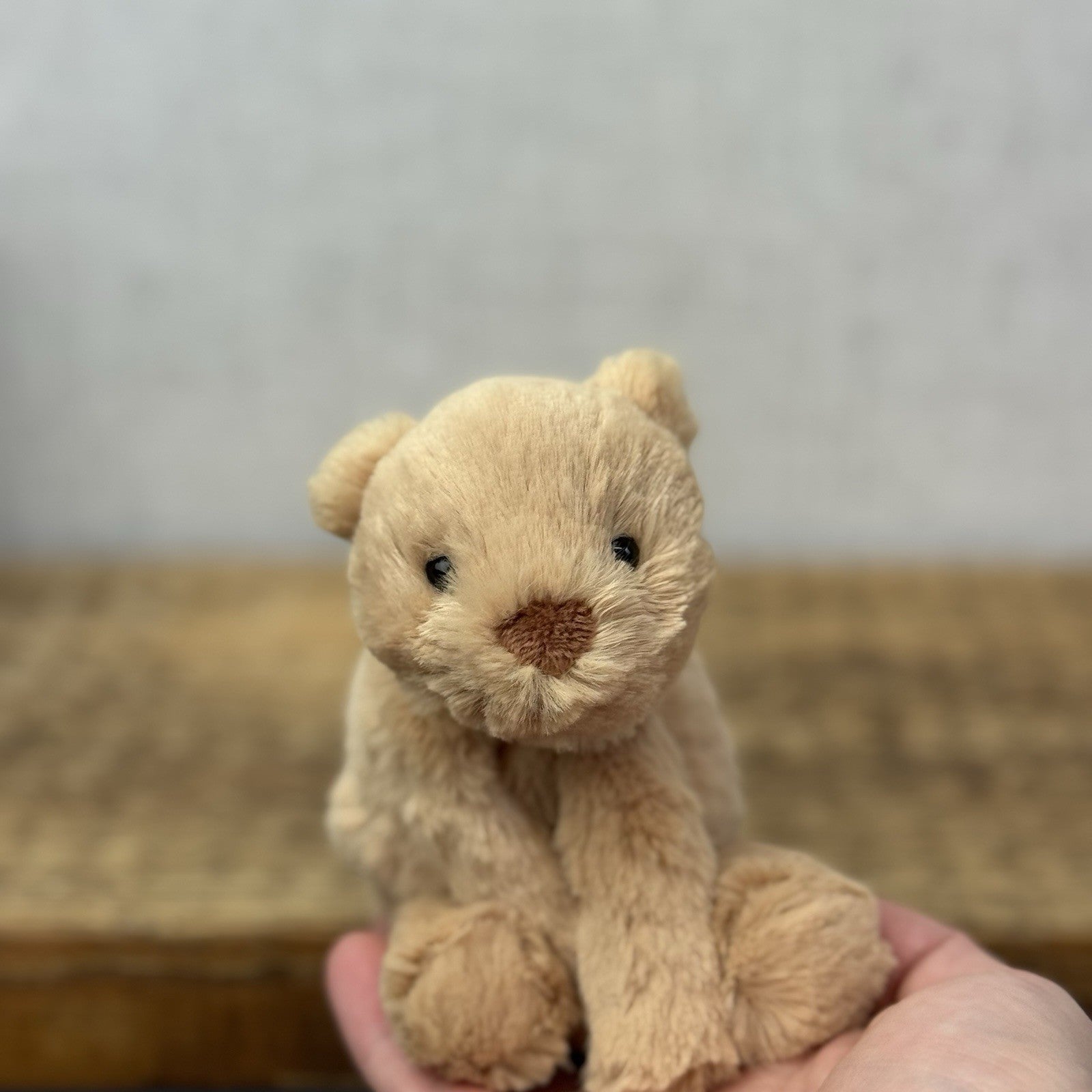Jellycat Tiny Smudge Bear - Miniature Bear Beanie Plush New With Tags Retired 7"