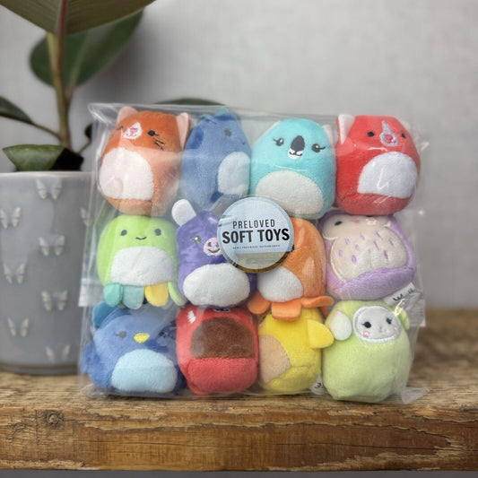 Squishmallows Squishville - Brilliant Besties Squad - Bright Colour Bundle x 12