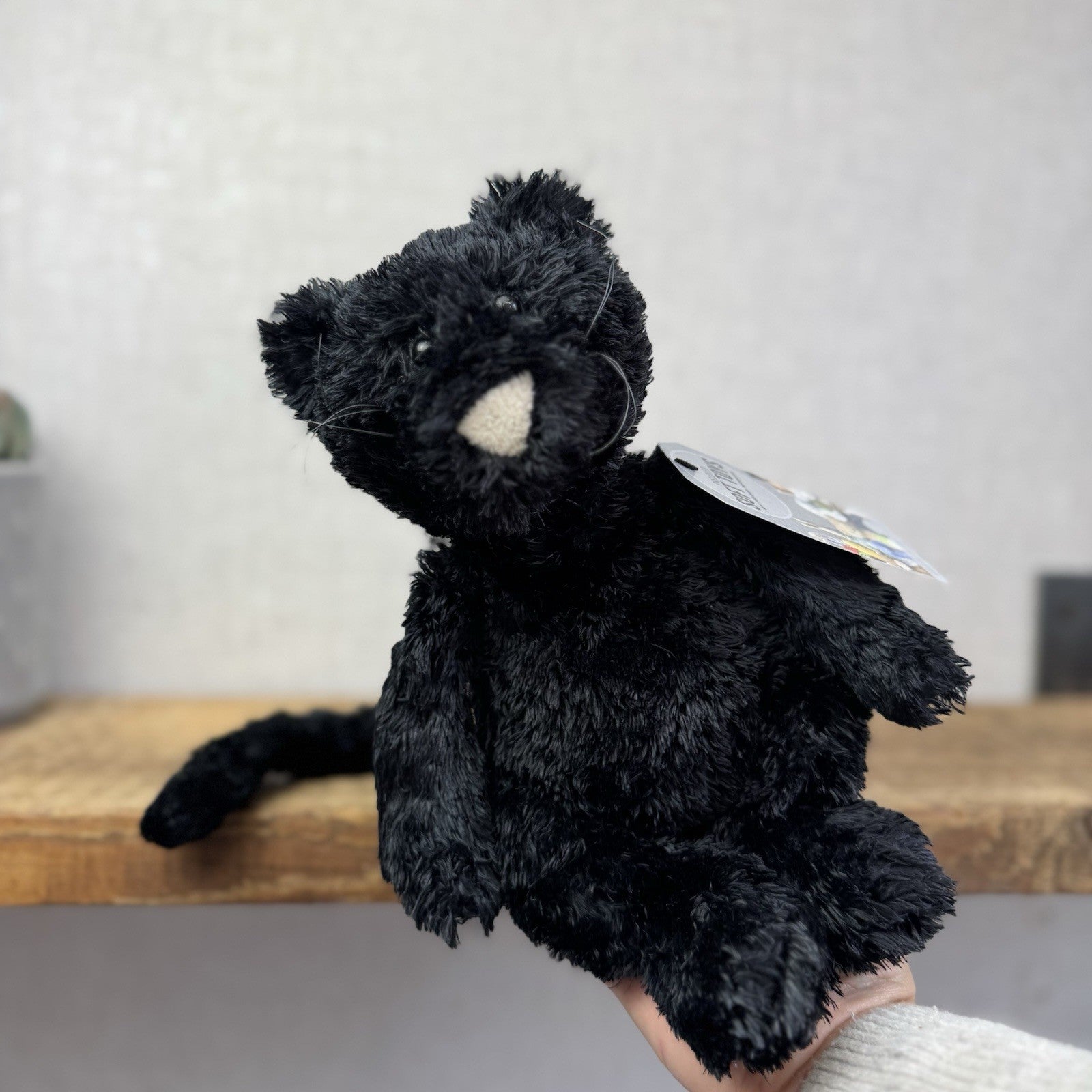 Jellycat Tumbler Cat  - Black Scruffy Bunglie Style Kitten Beanie Plush 10” NWOT