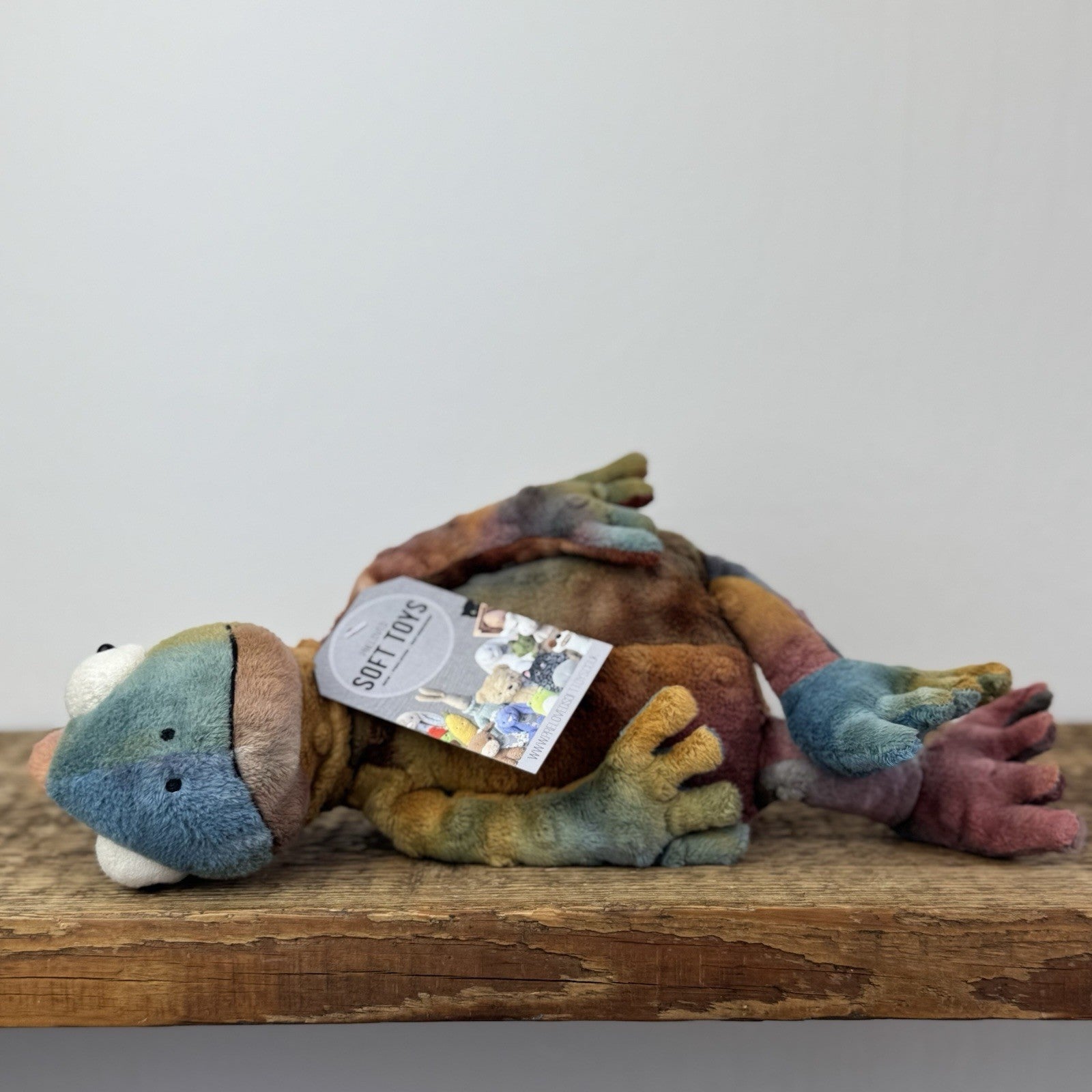 Jellycat Colin Chameleon - Jellycat Multicoloured Lizard Soft Toy - Medium 12"