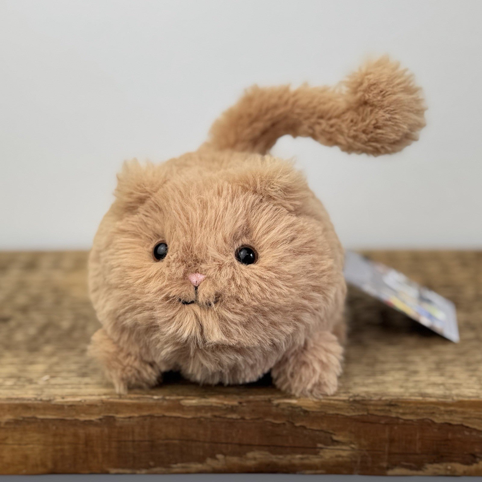 Jellycat Caboodle Kitten Ginger Orange - Mini Cat Soft Toy Retired 5”