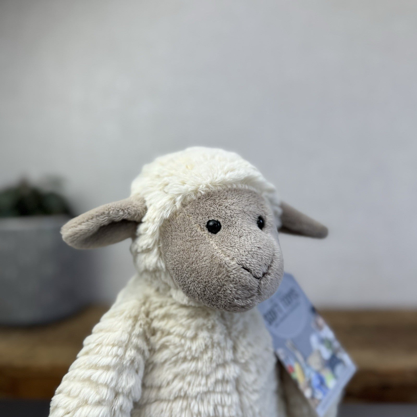 Jellycat Medium Fuddles Sheep Lamb Textured Zara Edition Soft Toy Beanie 12"