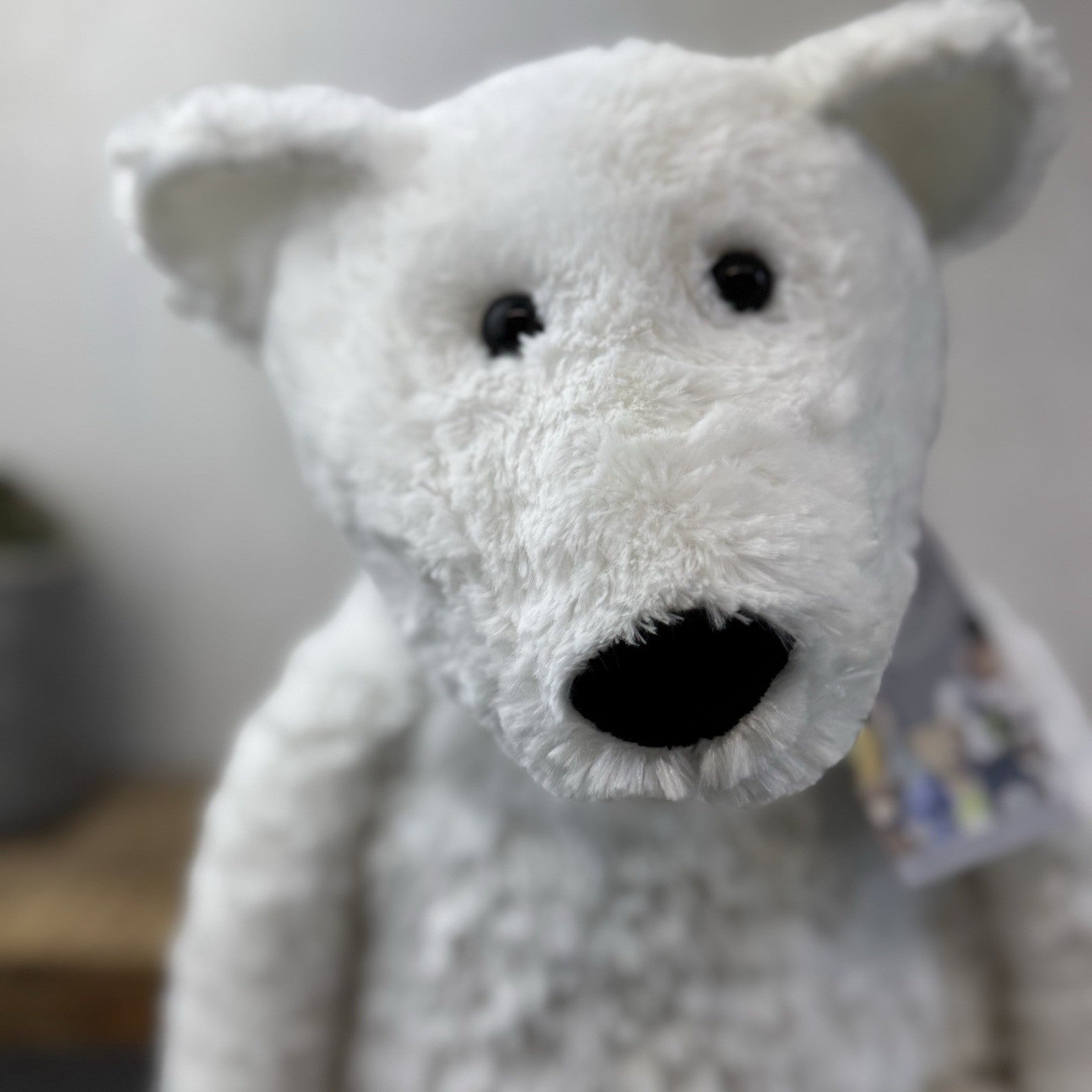The Little White Company Huge Oscar Bear Pickles Beanie 23" (Jellycat Collab)
