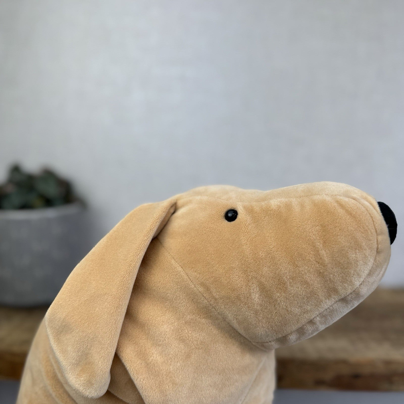 Jellycat Large Mellow Mallow Dog - Beige/Sand Squishy Dog Soft Beanie Toy 12"