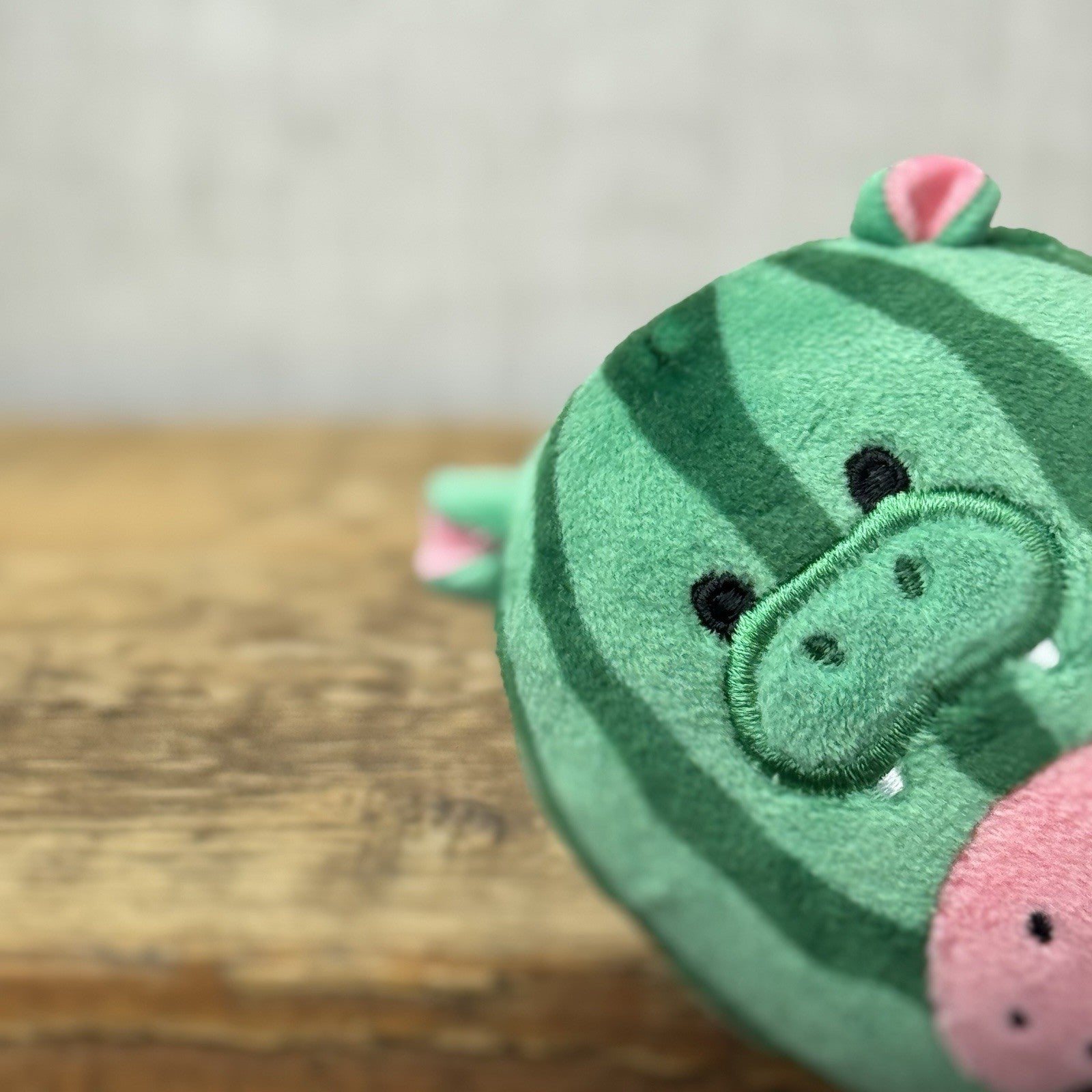 Squishmallow Micromallow Xeoaaover Hippo Watermelon Damaris NWOT 2"