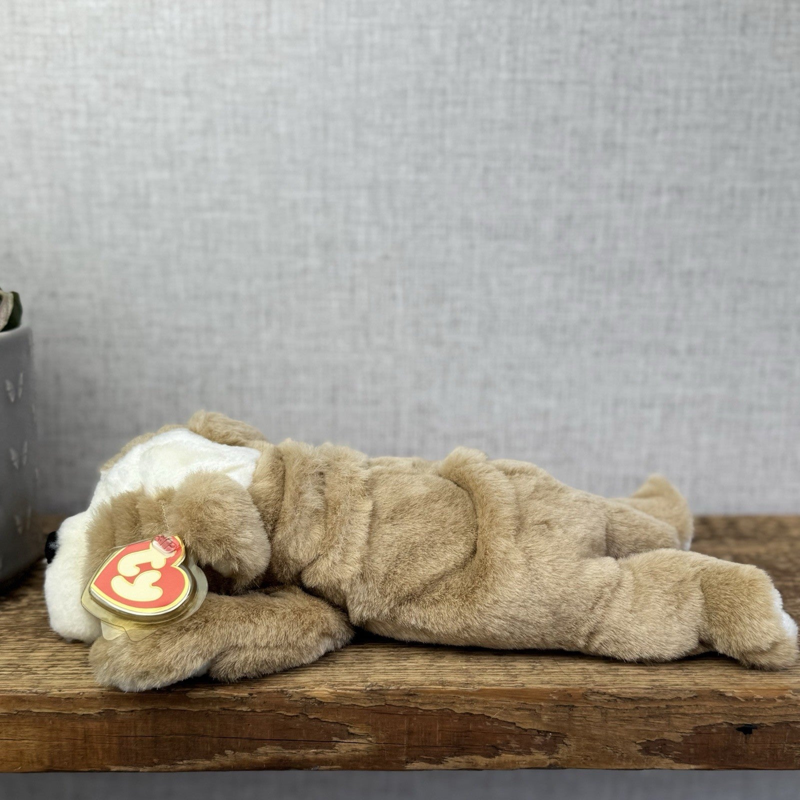 Ty Classic Beanie Buddies Churchill Bulldog Puppy Dog - Wrinkly Dog Pristine New
