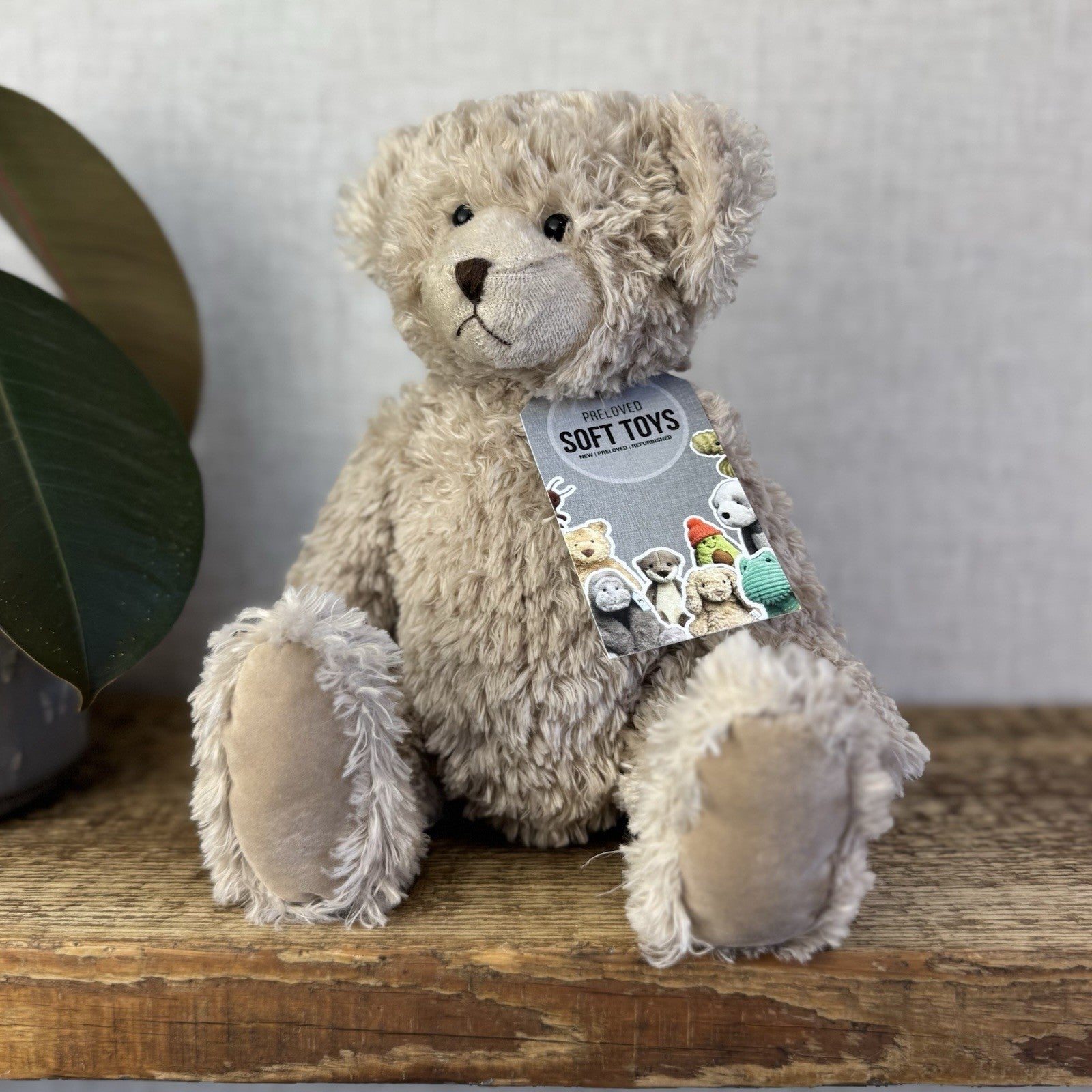 The Little White Company Bear - Traditional Beige Bear (Jellycat Collab) 10”