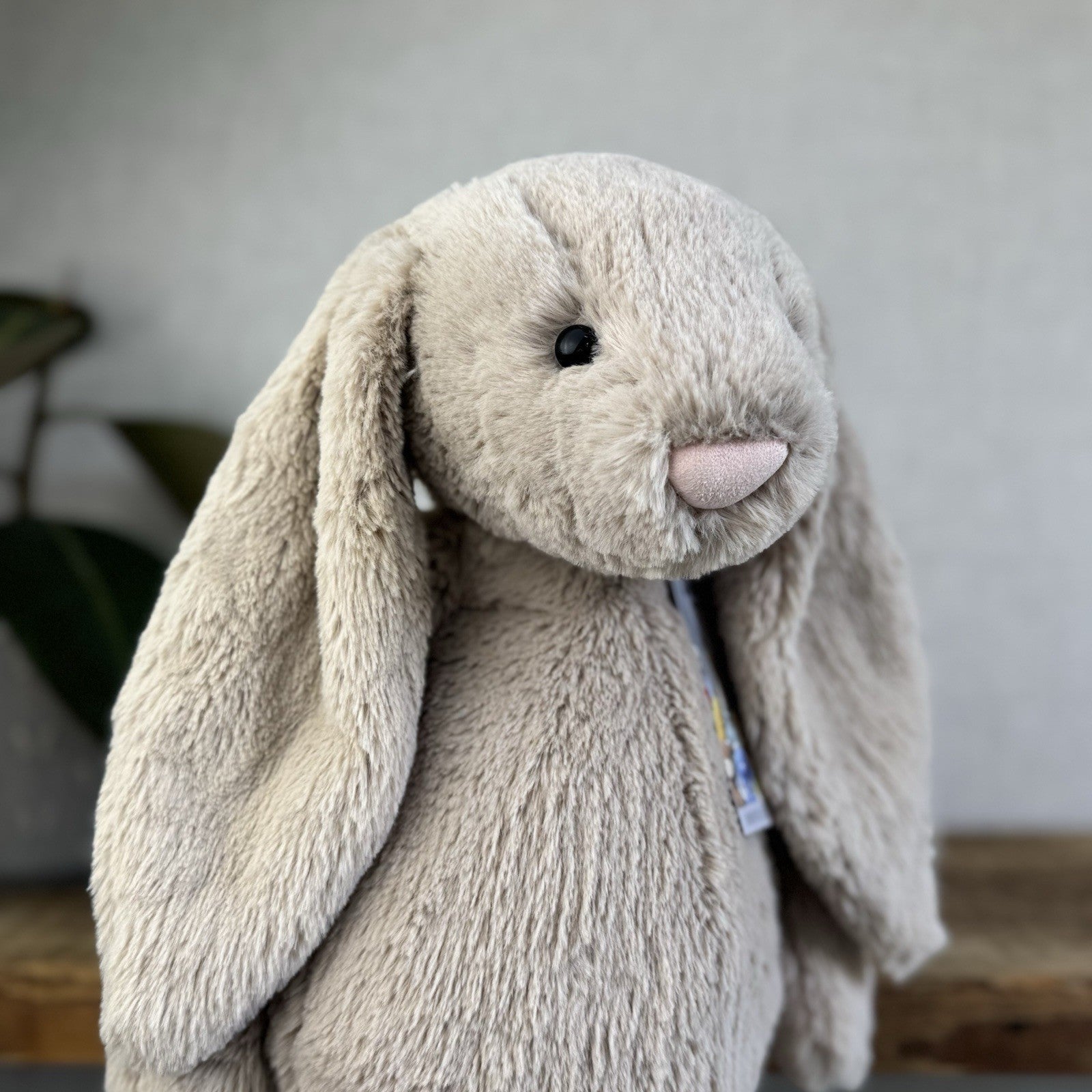 Jellycat Large Bashful Beige Bunny Rabbit - Old Style Large Beige Bunny 16”