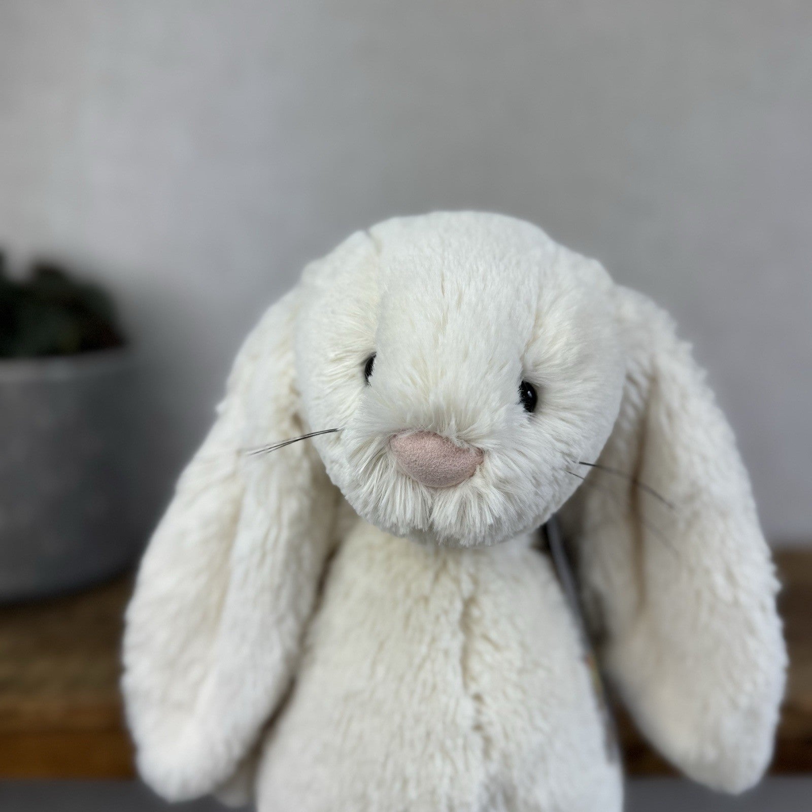 Jellycat Medium Cream Bashful Rabbit - Old Bashful With Whiskers Rare 12”