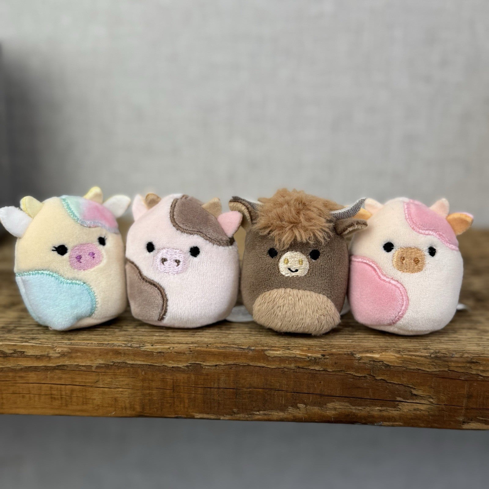 Squishmallow Squishville - Udderly Sweet Squad (Cows) Cow Bundle x4