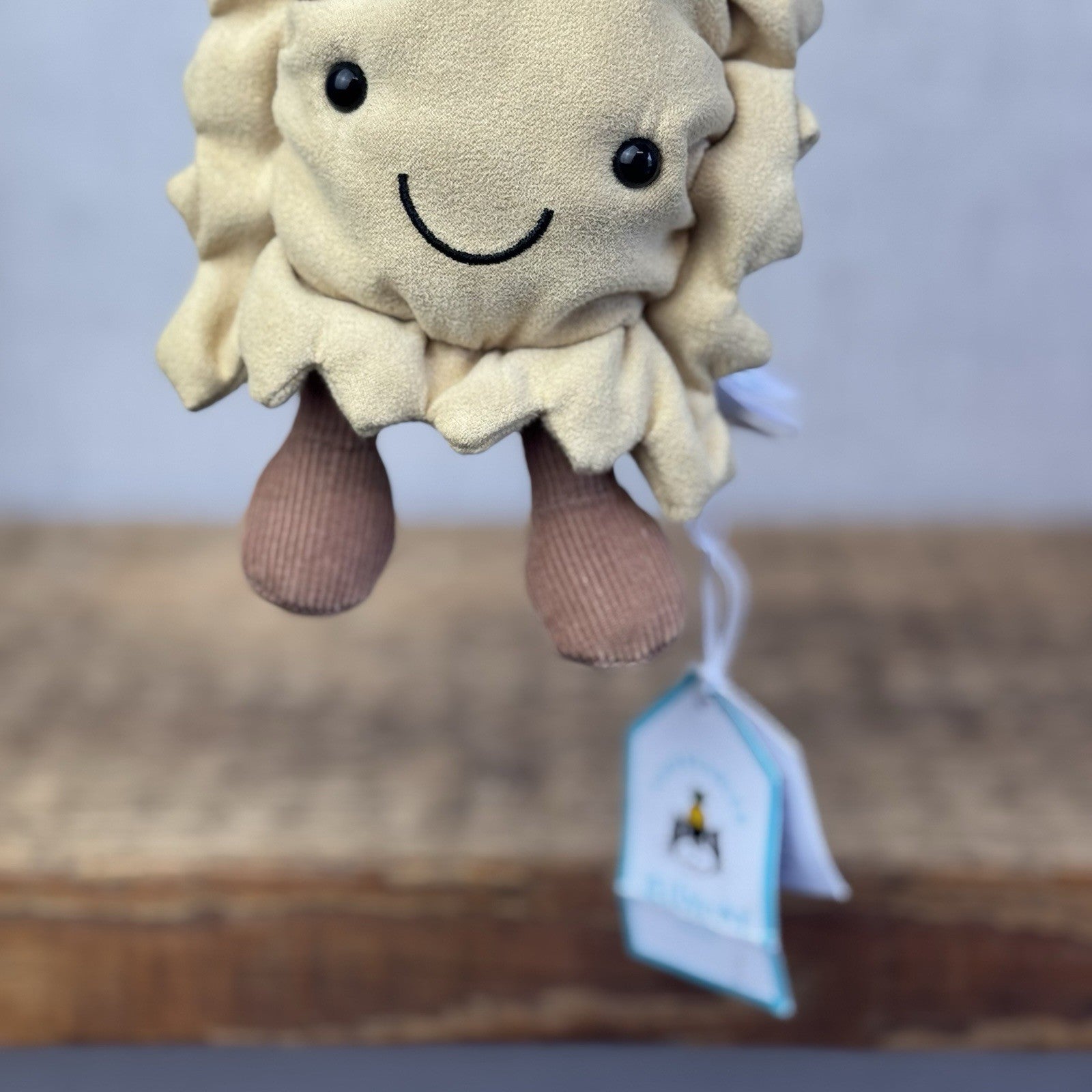 Jellycat Amuseables Ravioli BNWT