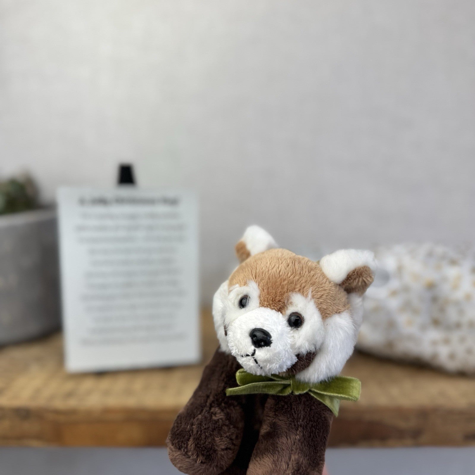 Ravensden Red Panda Beanie Wild  - Christmas Gift Soft Toy Wrapped & Ready