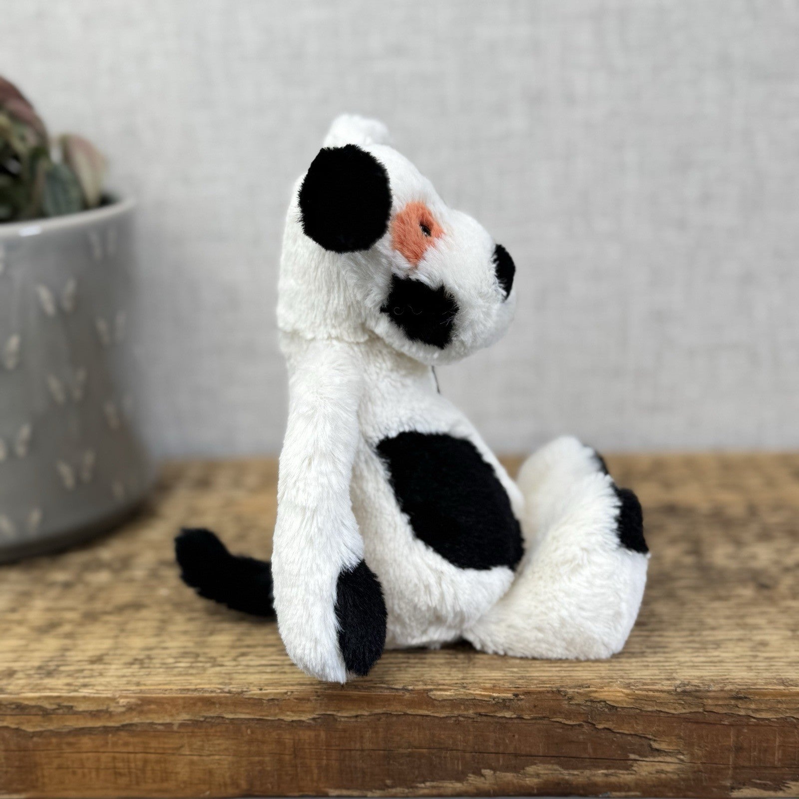 Jellycat Small Bashful Charlie Puppy Dog - Small Dog Orange/white/black 8”