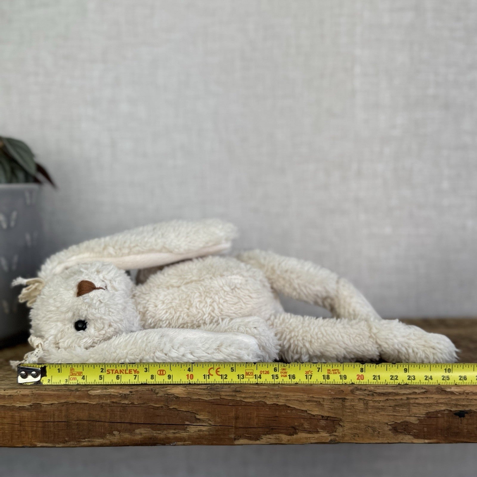 Barbara Bukowski Bears - Small Bukowski Bunny Retired Bow Ears Beanie Plush 12"