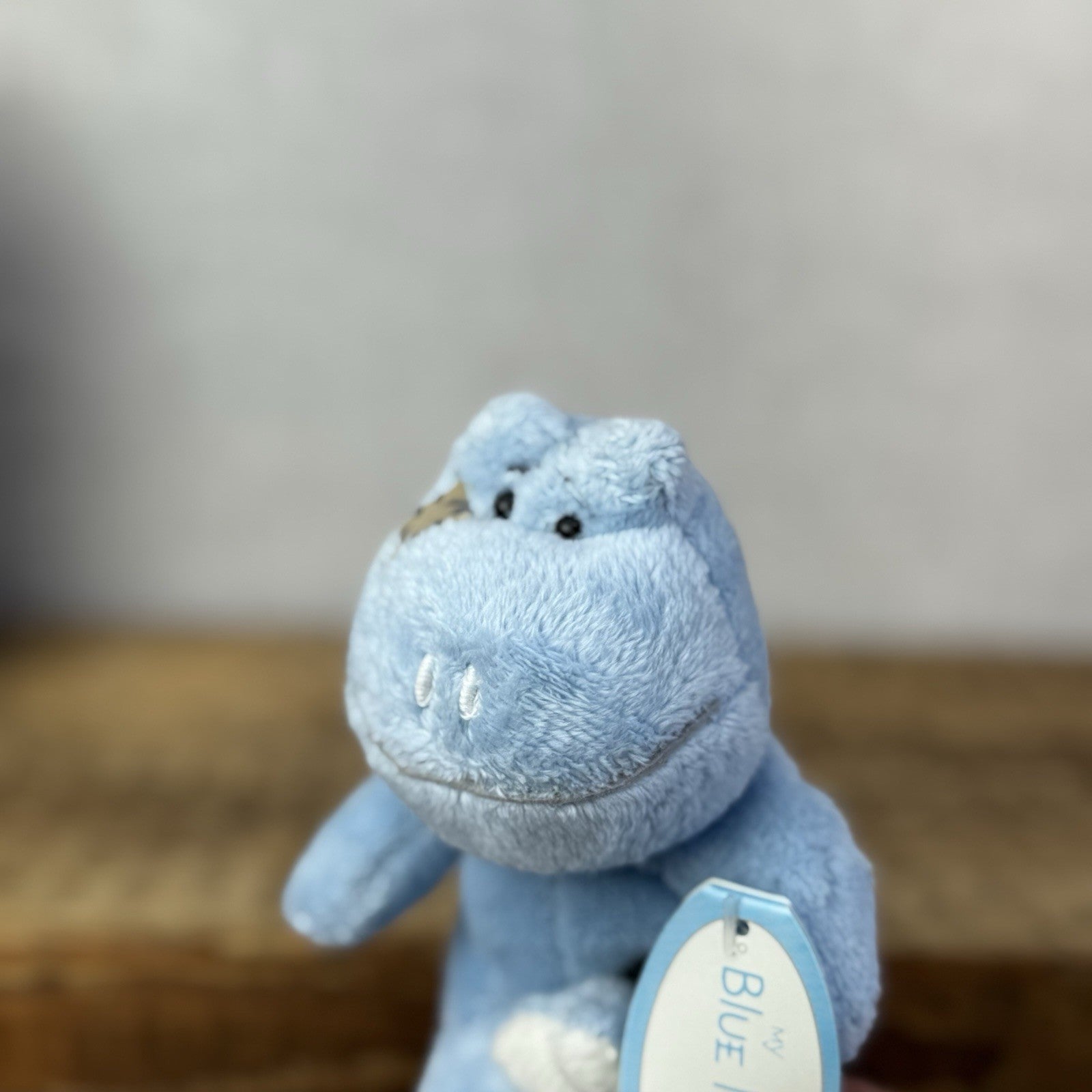 Blue Nose Friends - Lily The Frog #37 Miniature Blue Frog Beanie Plush Tags