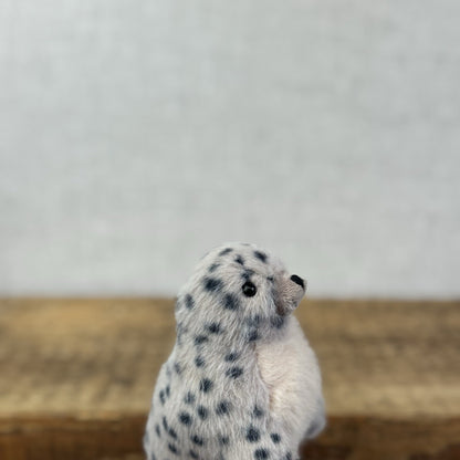 Jellycat Nauticool Spotty Seal - Tiny Fluffy Grey Seal Soft Beanie Pocket Pal