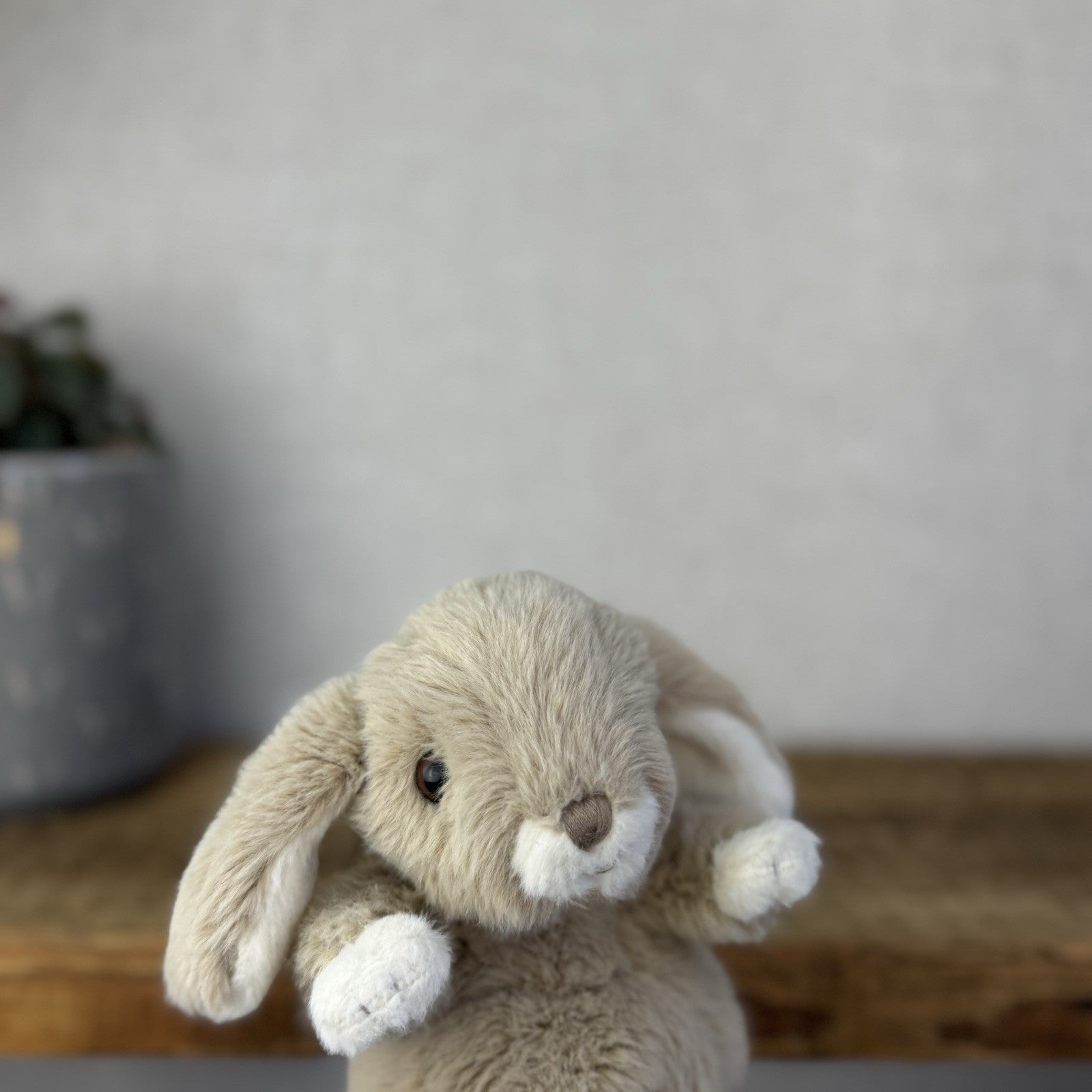 Barbara Bukowski Kanini Bunny Rabbit - Soft Toy Kanini Bunny Small Taupe Brown