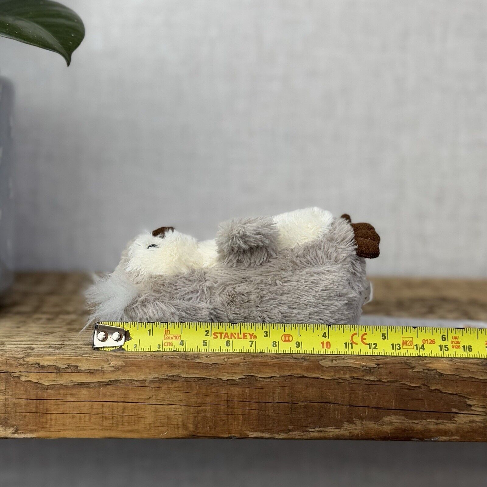 Jellycat Tiny Peanut Owl - Tiny Grey Fluffy Owl Jellycat - Soft Plush Beanie 4"