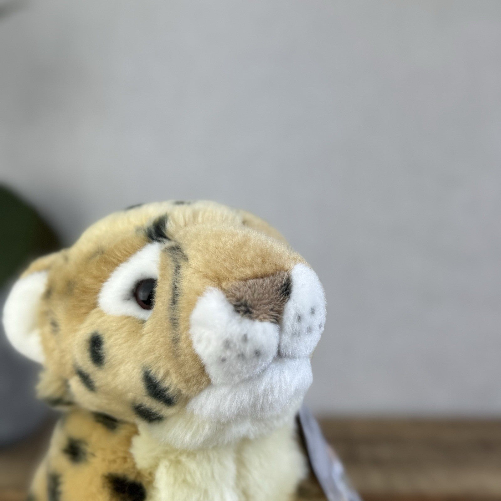 Keel Toys Signature Leopard - Small Leopard Plush Toy Realistic Wild Cat 8"