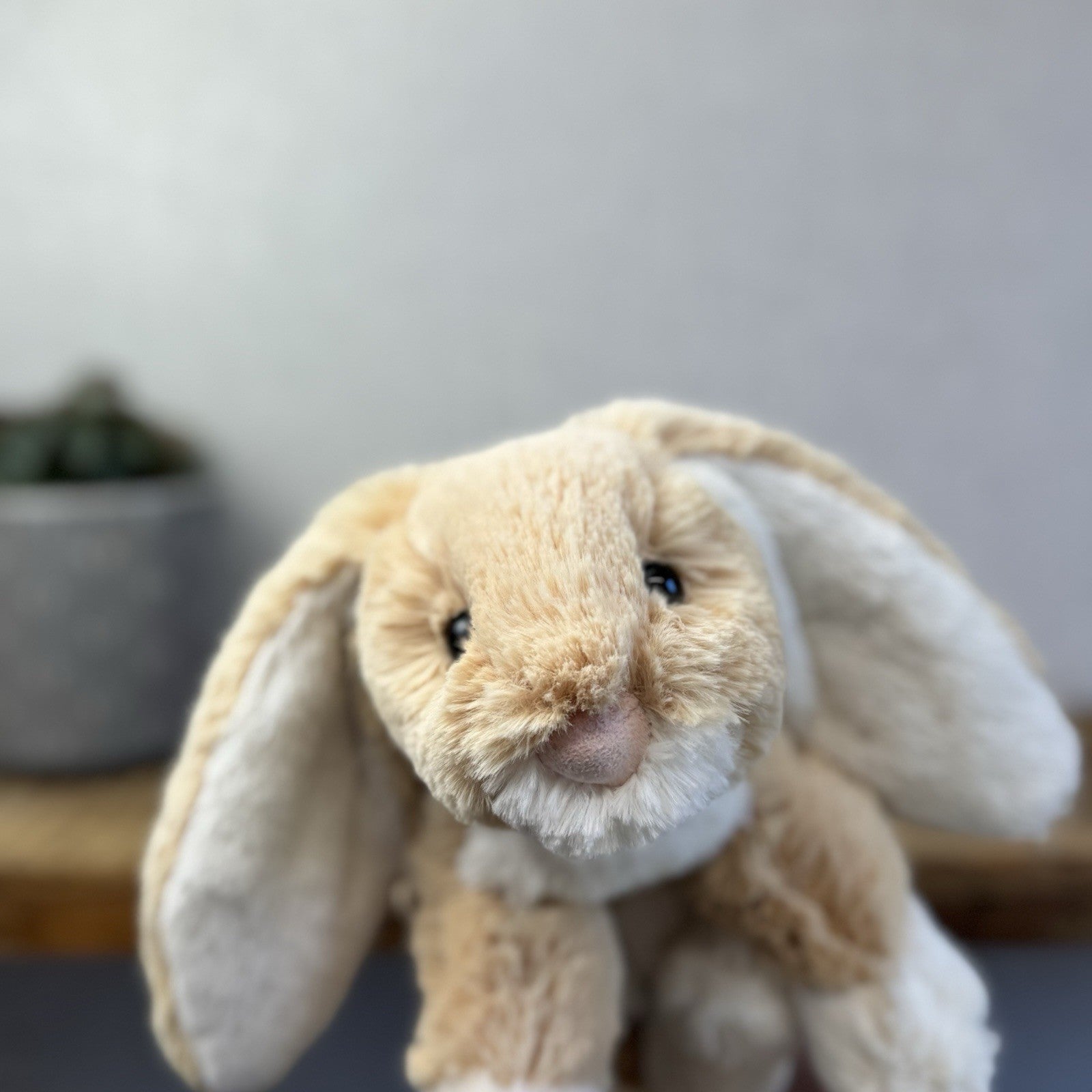 Jellycat Loppy Oatmeal Bunny - John Lewis Exclusive New With Tags Medium 12"