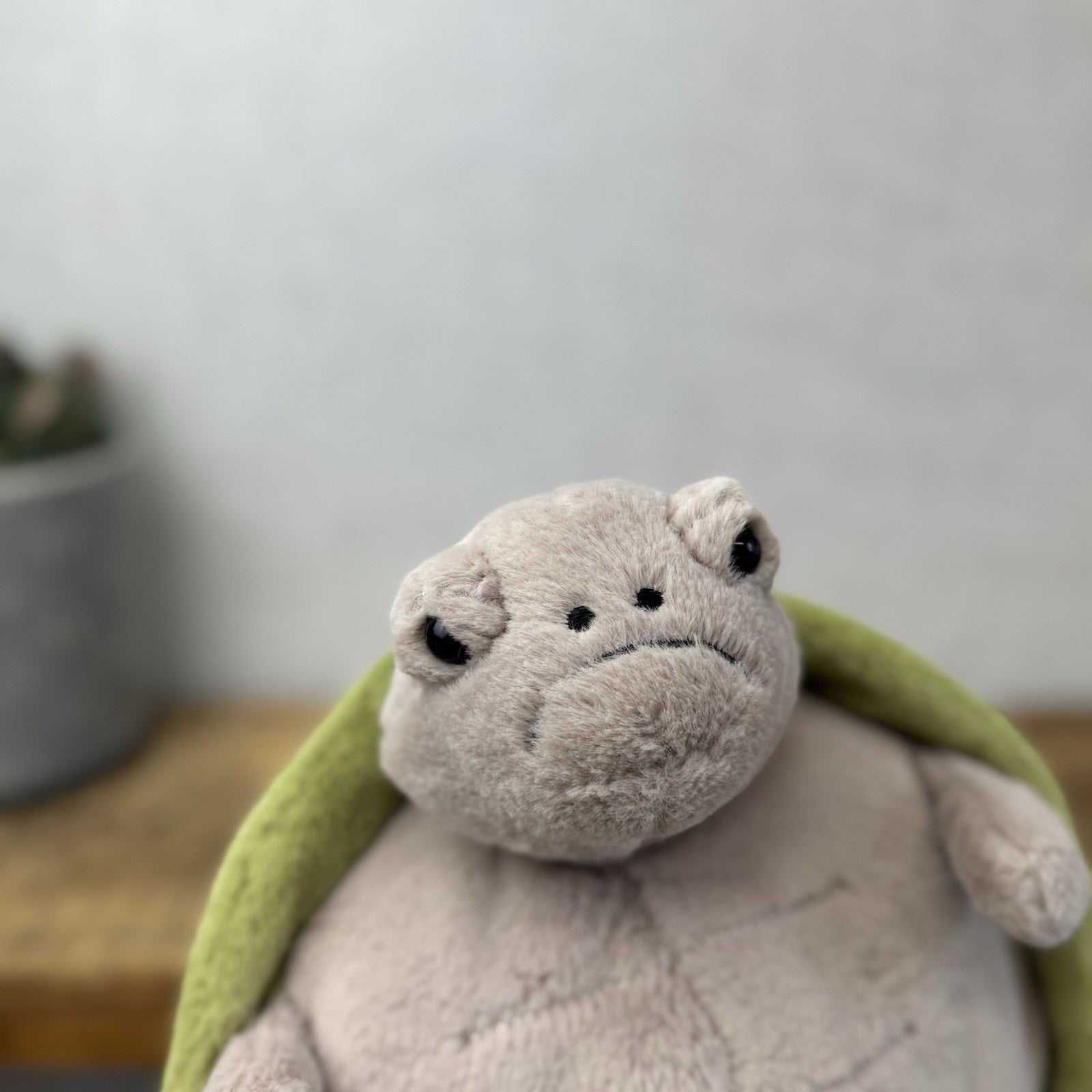 Jellycat Timmy Turtle - Grumpy Turtle Soft Toy (With Tags) Beanie Turtle 12"