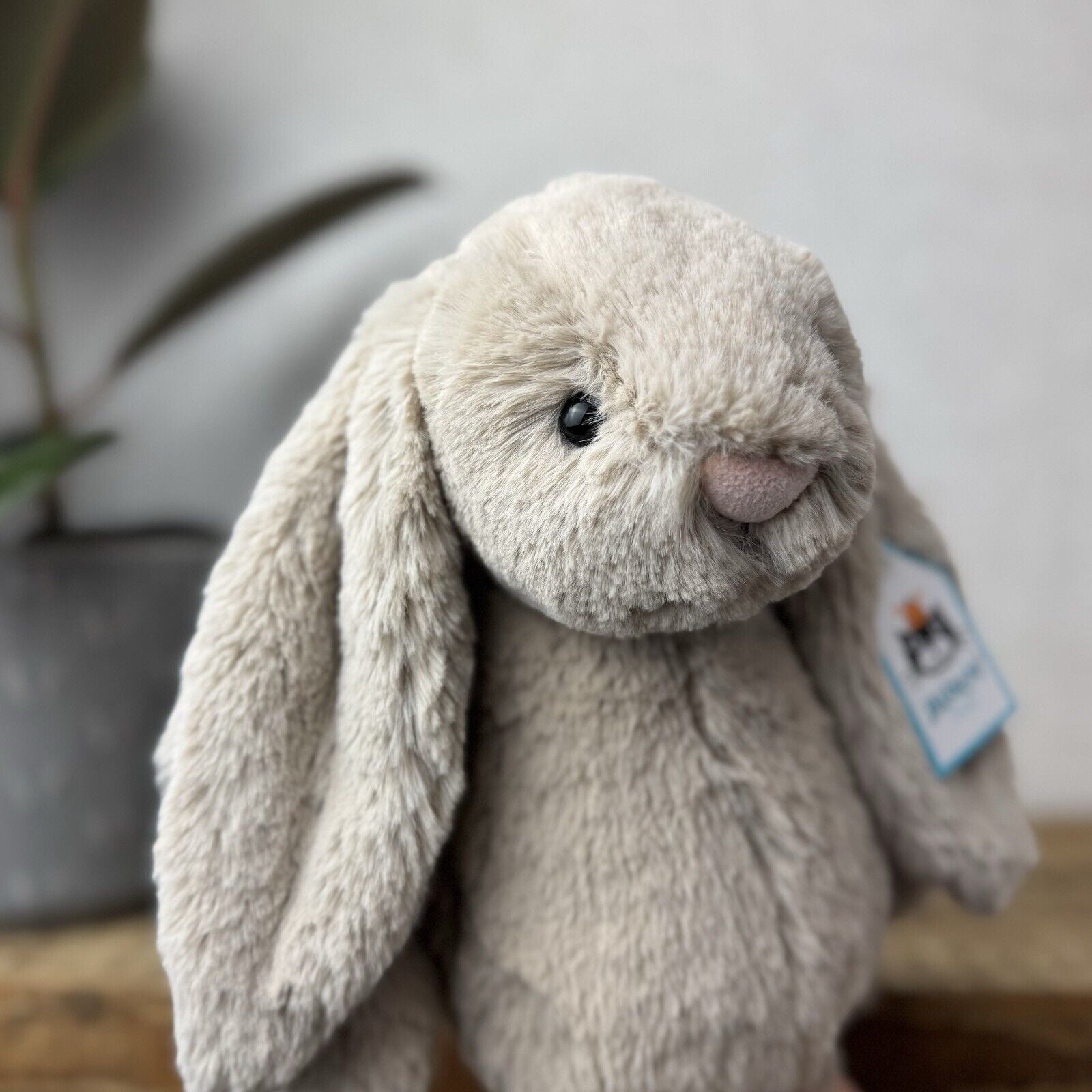 Jellycat Medium Bashful Beige Bunny - Light Brown Bunny Soft Toy Beanie 12” (2)