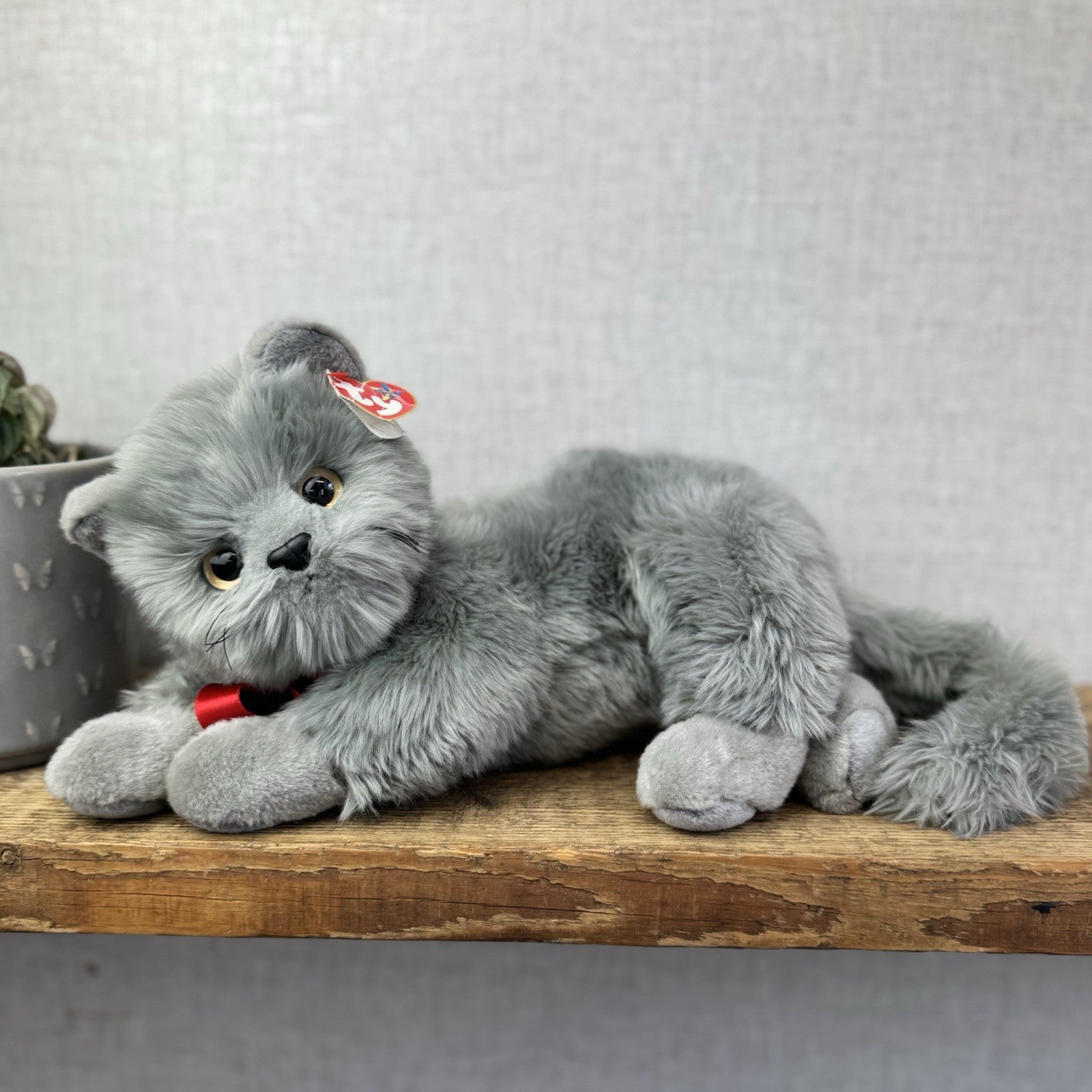 TY Beanie Buddy - BEANI Grey Fluffy Cat (Paper Tag Damaged) Amazing Rare 11"