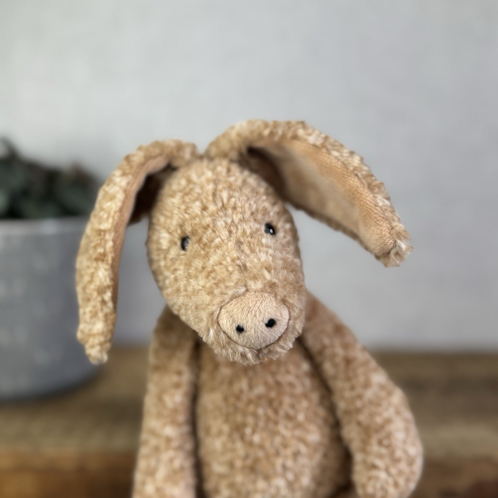 Jellycat Alan Aardvark - Orange/Brown Mix Aardvark Beanie Plush Retired 12"