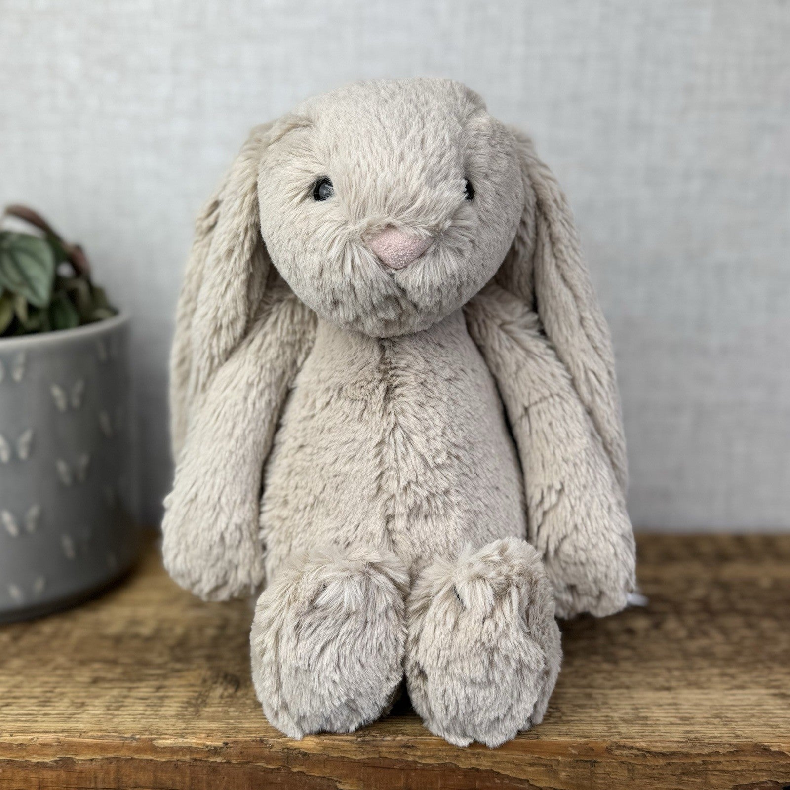 Jellycat Medium Natural Bunny - Little White Company Exclusive Version New Tags